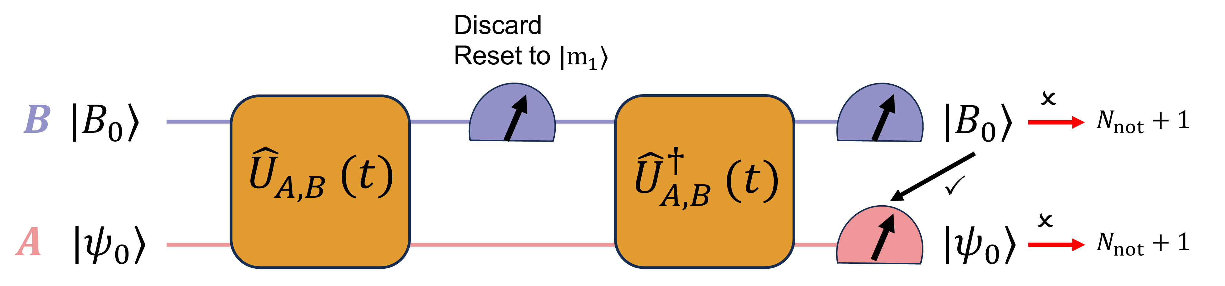 Figure 4: Simplified single-round protocol for measuring the second Rényi entropy via the basis-resolved ETP with a given initial state. Starting from \ket{\psi_0}_A\otimes\ket{B_0}_B, we evolve A and B forward for time t, discard the final state of B, reset B to \ket{m_1}, and then evolve A and B backward for the same duration t. Finally, we measure subsystems A and B. See Sec. 3.2.2 for details.