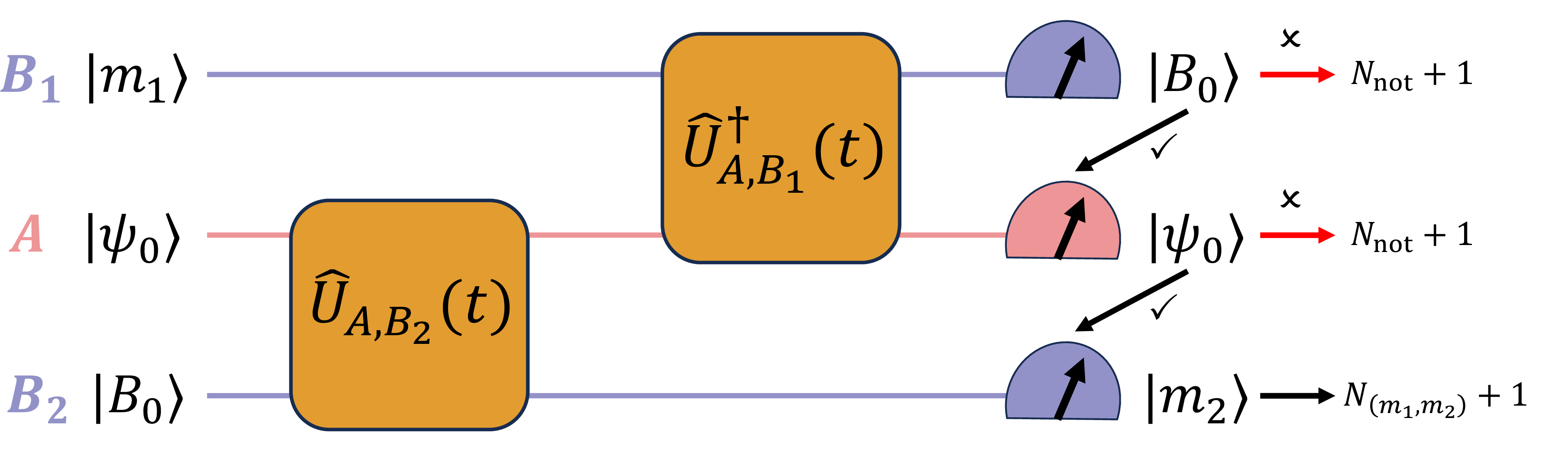 Figure 2: The protocol for each round of the measurement of basis-resolved ETP M(t,m_1,m_2) defined in Eq. 5 . We start with the initial state |m_1,\psi_0,B_0\rangle and let subsystems A and B_2 evolve forward in time for t. Then, we evolve subsystems A and B_1 backward in time for the same duration t. Finally, we perform a measurement on subsystems B_1,A, and B_2. The protocol is discussed in detail in subsection 3.1.