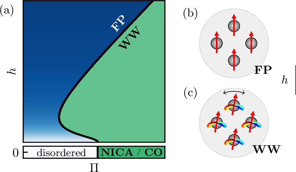 Figure 1: Active solids in a polarizing field. (a) Schematic phase diagram as a function of the elasto-active coupling \Pi and the field amplitude h. At h = 0, a transition between a disordered regime and collective actuation – either noise induced (NICA), or chiral oscillations (CO) – takes place [32], [35]. Adding a field, the disordered phase polarizes (FP) (color-coded from light to dark blue as polarization increases). In the green region, oscillating dynamics take place, and for large enough fields, a new dynamical regime emerges, taking the form of bounded oscillations around the field orientation, analogous to the motion of Windscreen Wipers (WW). (b-c) Schematic FP and WW regimes; red arrows: polarities \boldsymbol{\hat{n}}_i; trajectories of particle positions color-coded from blue to red.
