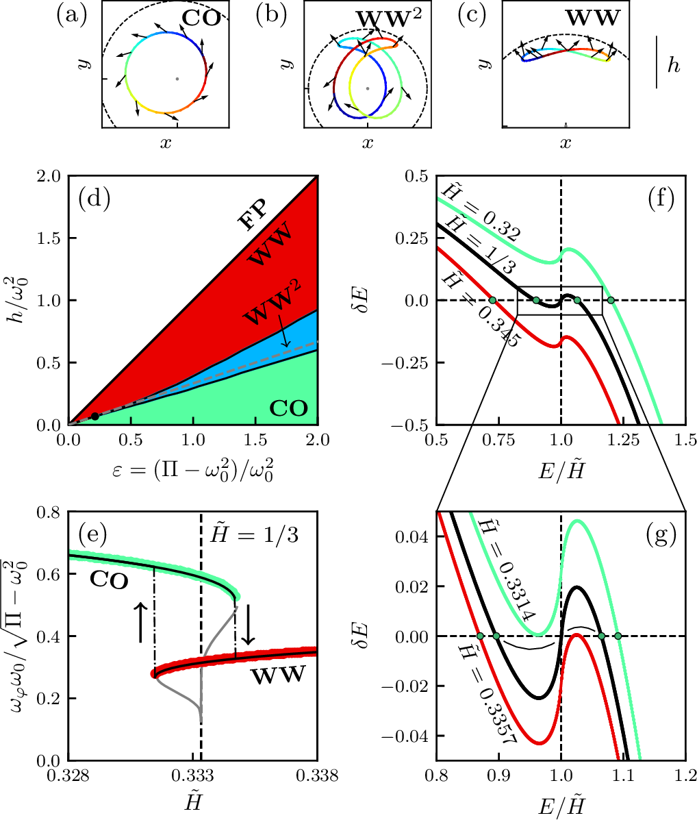 Figure 4: Noiseless single active unit, theory and numerics. (a-c) Dynamics of the displacements in the dynamical regimes as named, as obtained from noiseless simulations of Eqs. (1 ); the trajectory is shown over one period, and colored with time running from blue to red; the dark arrows are snapshots of the orientation of the active force \boldsymbol{\hat{n}}; for \Pi/\omega_{0}^{2} = 3.95; (a) h/\omega_{0}^{2} = 0.62: CO, (b) h/\omega_{0}^{2} = 1.15: WW^2, (c) h/\omega_{0}^{2} = 2.23: WW; the dashed circles indicate the radius \Pi/\omega_{0}^{2}. (d) Numerical phase diagram (white: FP, green: CO, red: WW, blue: WW^2); the top solid black (resp. dashed gray) line indicates \Pi_c = \omega_{0}^{2} + h (resp. \Pi^{\star} = \omega_{0}^{2} + 3h). The black dot indicates the tip of the WW^2 domain of existence.(e) Rescaled frequency \omega_{\varphi} as a function of \tilde{H}, for small h/\omega_{0}^{2} = 10^{-4}, colored markers indicate simulations of Eqs. (1 ) (green: CO, red: WW), and the solid black (resp. gray) lines are the stable (resp. unstable) orbits of the pendulum equations, as obtained from the energy drift \delta E.(f-g) Energy drift \delta E as a function of E/\tilde{H} for three values of \tilde{H}, as indicated. The green marks indicate the stable orbits.