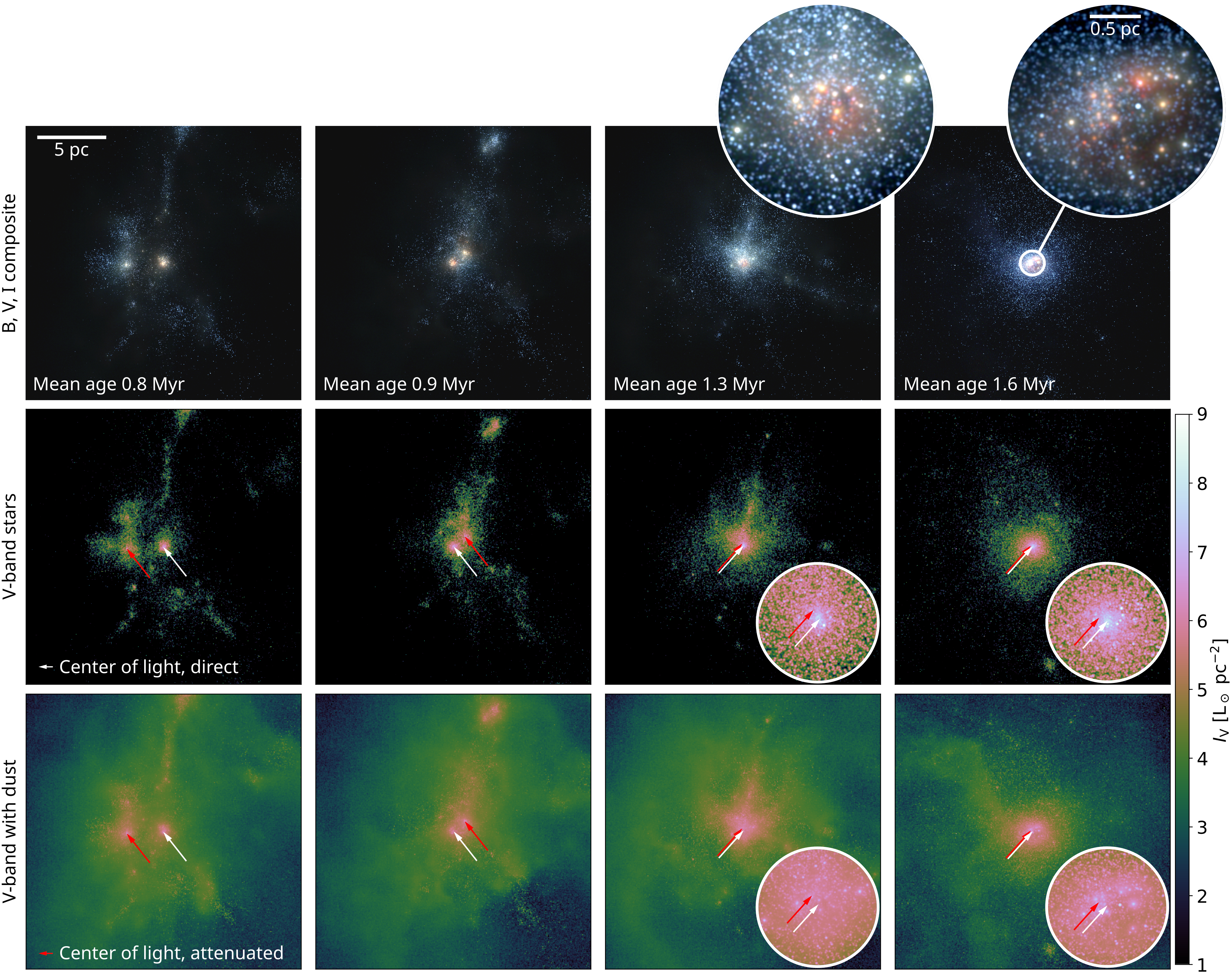 Figure 2: Top: Colour composite images of the central 20 pc at four epochs along the formation of the most massive cluster (see text) in B (blue), V (green) and I (red) Johnson-Cousins broad-bands. The image resolution corresponds to that of the HST at the distance of LMC (\sim 50 kpc, 0.01 pc per pixel) degraded with a \sim2 pix Gaussian point spread function. The insets show the central 2 pc in an adjusted value range.Middle: V-band surface brightness maps of the stellar emission without dust attenuation. The white arrows show the centres of light (see text for details). The brightest spot close to the centre of the rightmost panel corresponds to the most massive star (see Section 3.1.2) whose radiation properties are modelled as an initially 500 \mathrm{M}_\odot star at an age of 1.2 Myr. This star, among others, is not visible in the top and bottom rows due to extinction. The insets in the middle and bottom rows show the central 2 pc in the same value range.Bottom: V-band surface brightness maps with attenuation, scattering and dust emission. The red arrows indicate the centres of light of the attenuated images measured similarly to the unattenuated one to highlight the offset in the direct and attenuated light.