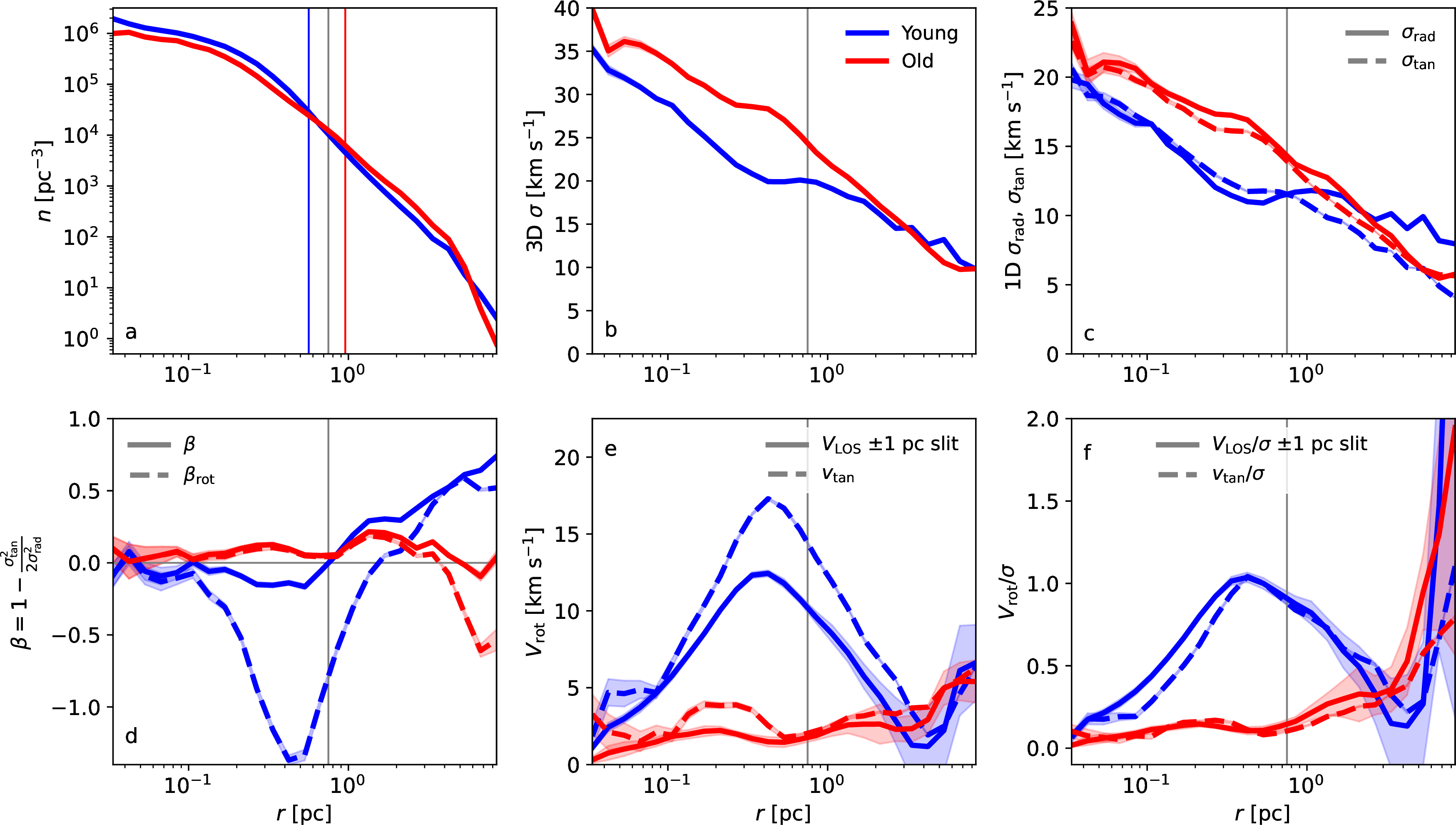 Figure 5: The radial velocity distribution of the stars in the most massive cluster divided in to the younger (blue) and older (red) population in the final snapshot. The panels show the stellar number density (a); 3D velocity dispersion (b); radial and tangential velocity dispersion (c); velocity anisotropy excluding (\beta, solid) and including (\beta_\mathrm{rot}, dashed) the bulk velocities (d); the projected LOS rotation velocity in a \pm 1 pc slit and the tangential rotation velocity (solid and dashed lines, respectively; e); and the corresponding V/\sigma of the tangential and LOS velocity components (f). The vertical gray line in the panels indicates the projected R_\mathrm{eff}, and the blue and red vertical lines in panel a shows the values of R_\mathrm{eff} for the young and old populations, respectively.