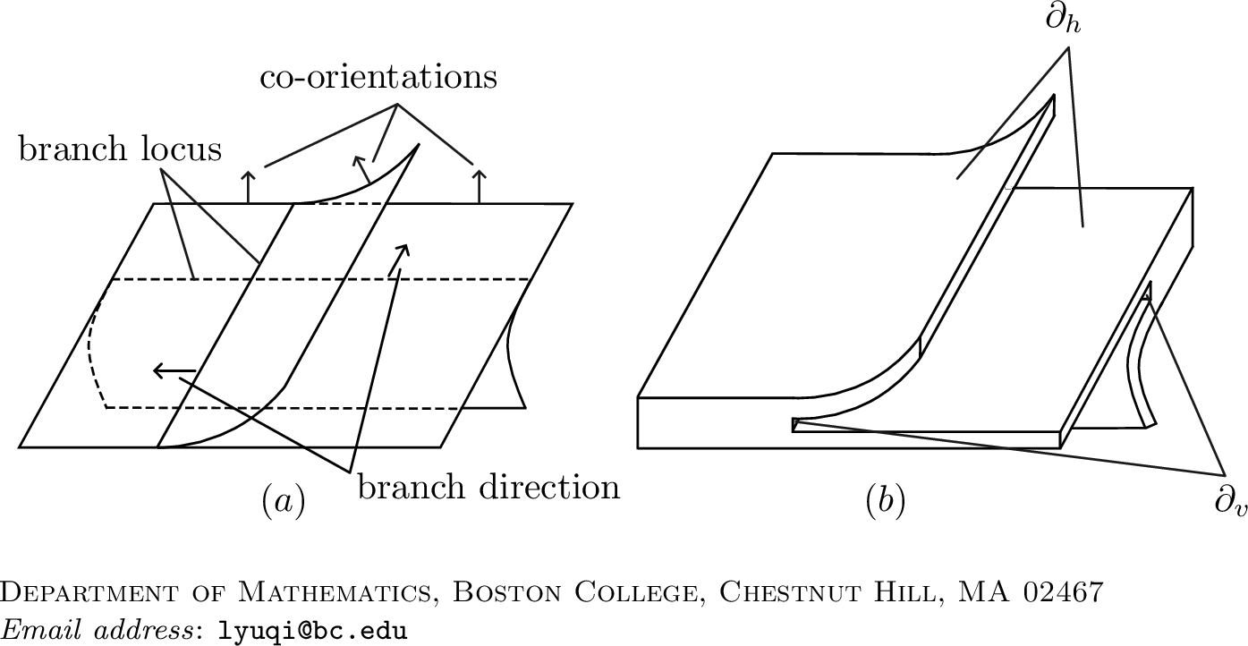 Figure 3: Branched Surfaces