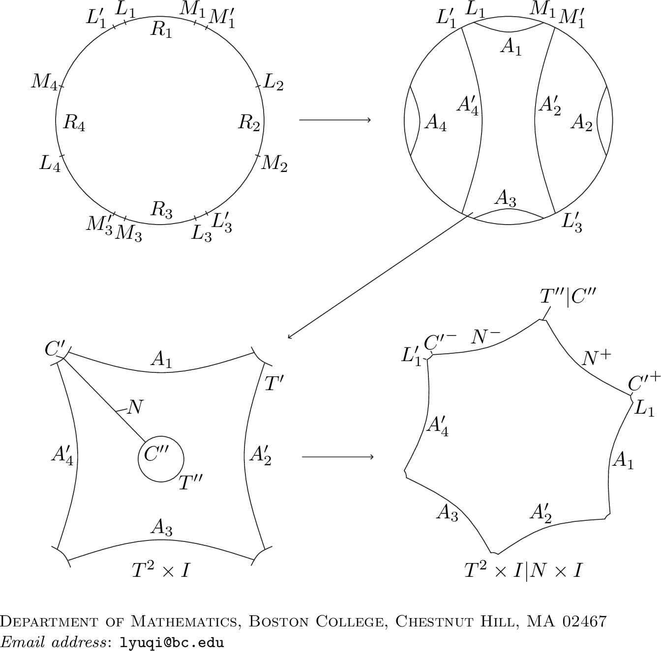 Figure 1: Persistent foliar decoration
