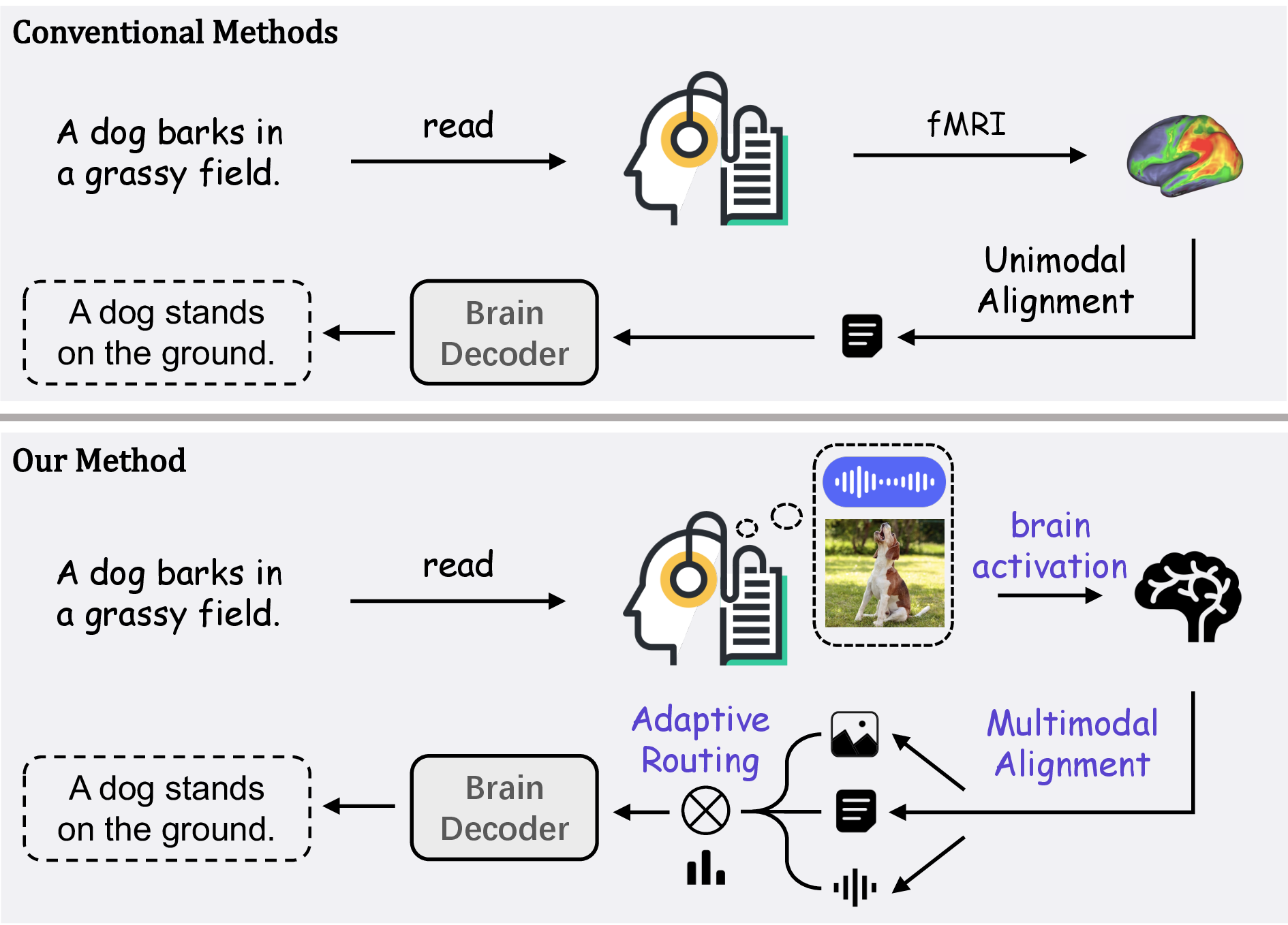 Figure 1: Top: Conventional BCI frameworks decode language from unimodal brain representations. Bottom: Our proposed framework (supports diverse brain signals and stimulus types) leverages multimodal brain representations for language decoding via multimodal alignment and adaptive routing strategy.