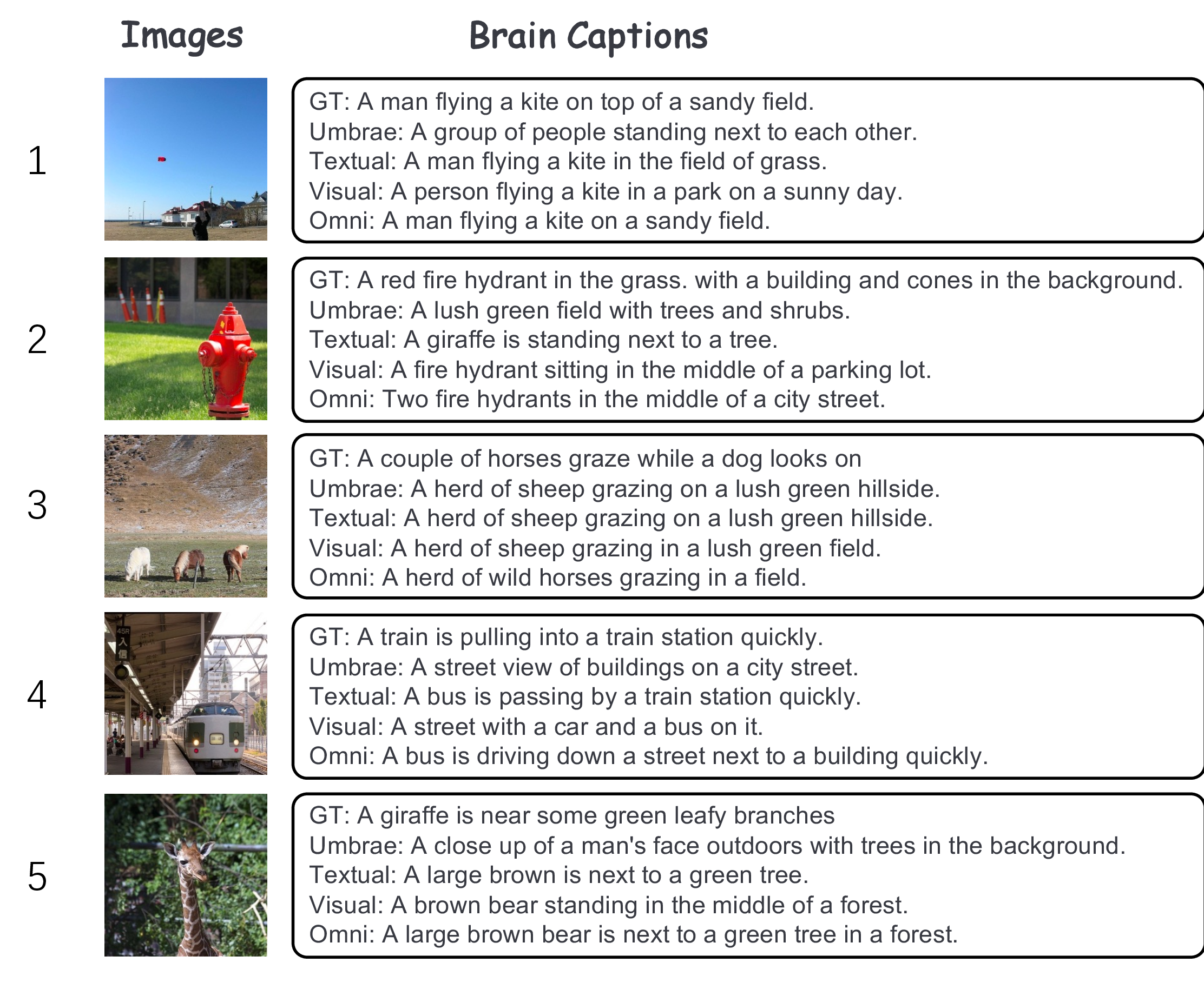Figure 5: Decoding results on the NSD for the models: Umbrae, textual, visual, Omni, and the ground truth.