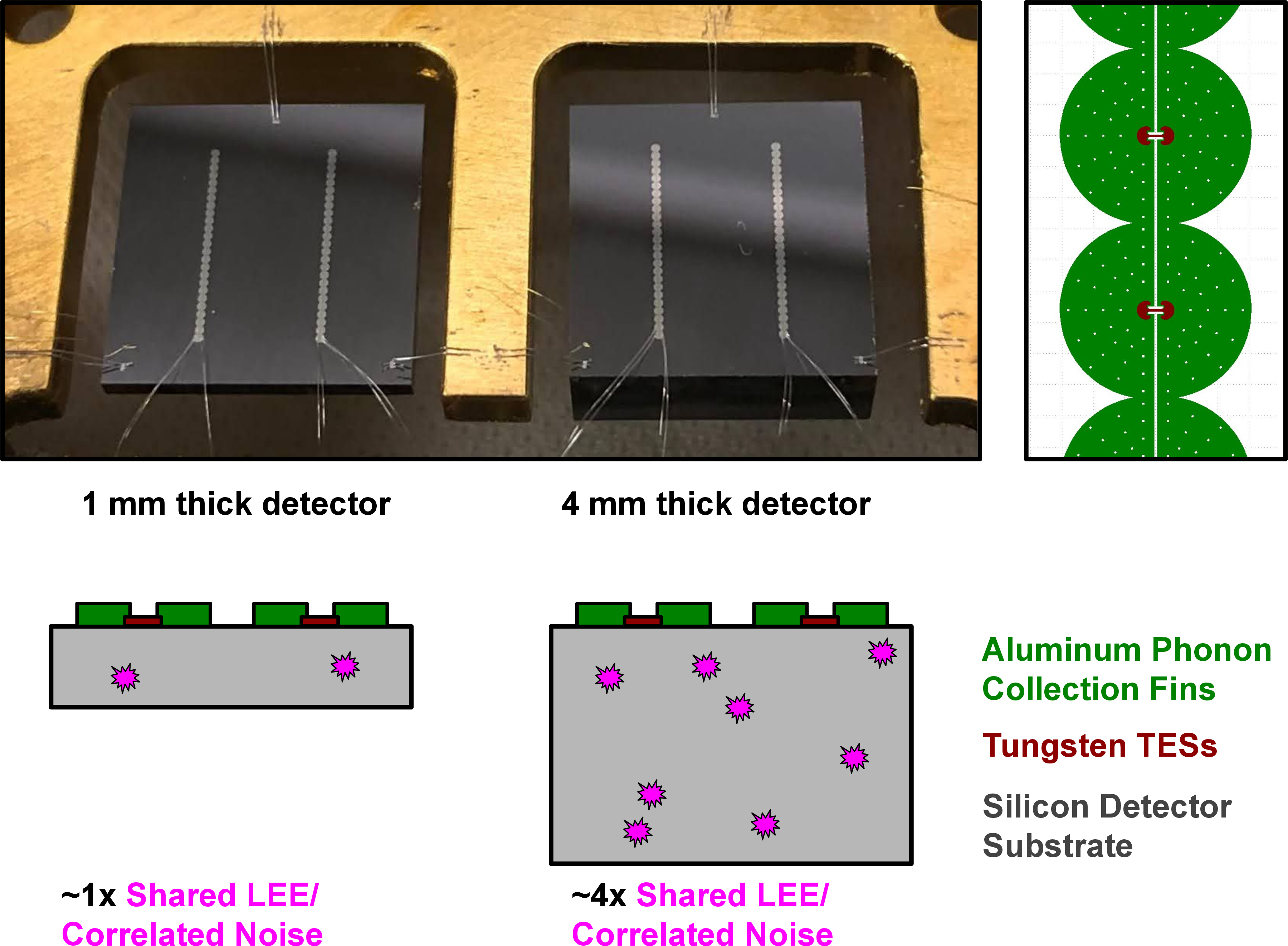 Figure 1: (Top left) Photograph of our 1 mm (left) and 4 mm thick (right) 1 cm^2 silicon detectors. (Top right) Detail on mask design for our phonon sensors (QETs). For scale, the QET fins have a radius of approximately 140 \mum. (Bottom) Sketch of backgrounds and shot noise sources we observe in our devices. Shared LEE backgrounds and correlated phonon shot noise appear at approximately 4x the rate in the 4 mm detector compared to the 1 mm detector.