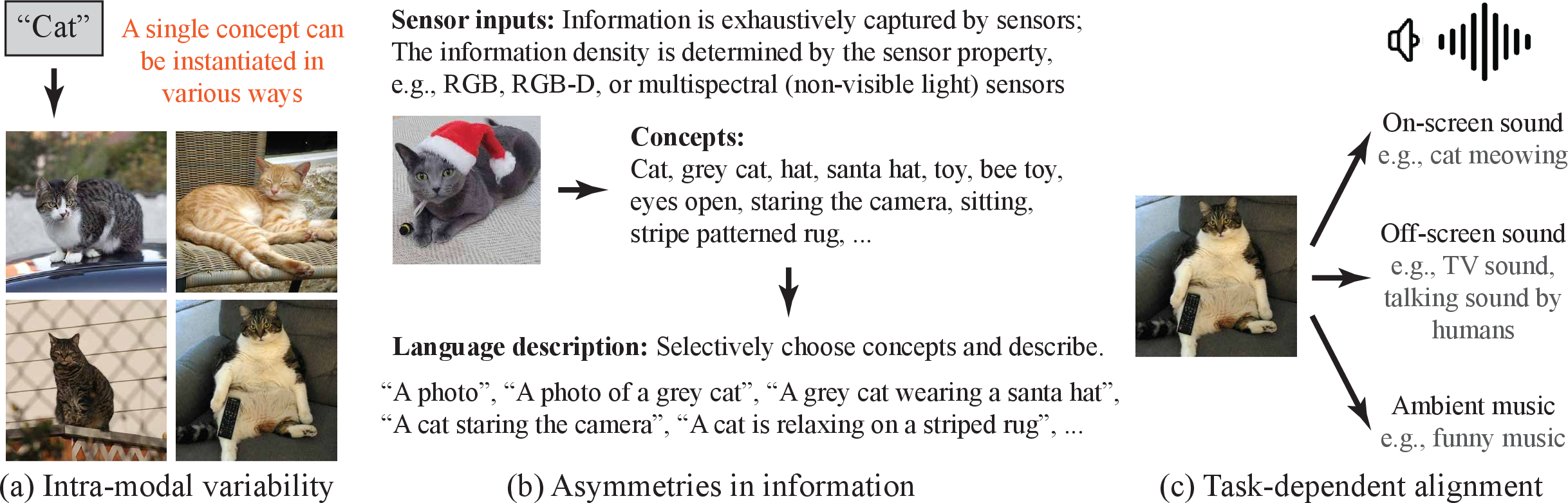 Figure 1: How does multiplicity occur? The source of multiplicity in multimodal datasets is diverse.