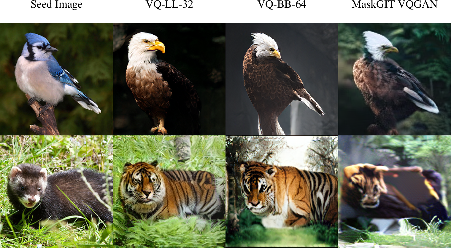 Figure 15: Qualitatively, the gap in generation quality is very significant between the TiTok 32-token, 64-token, and VQGAN models. Prompts are “a photo of an eagle” and “a photo of a tiger” for the first and second rows, respectively.