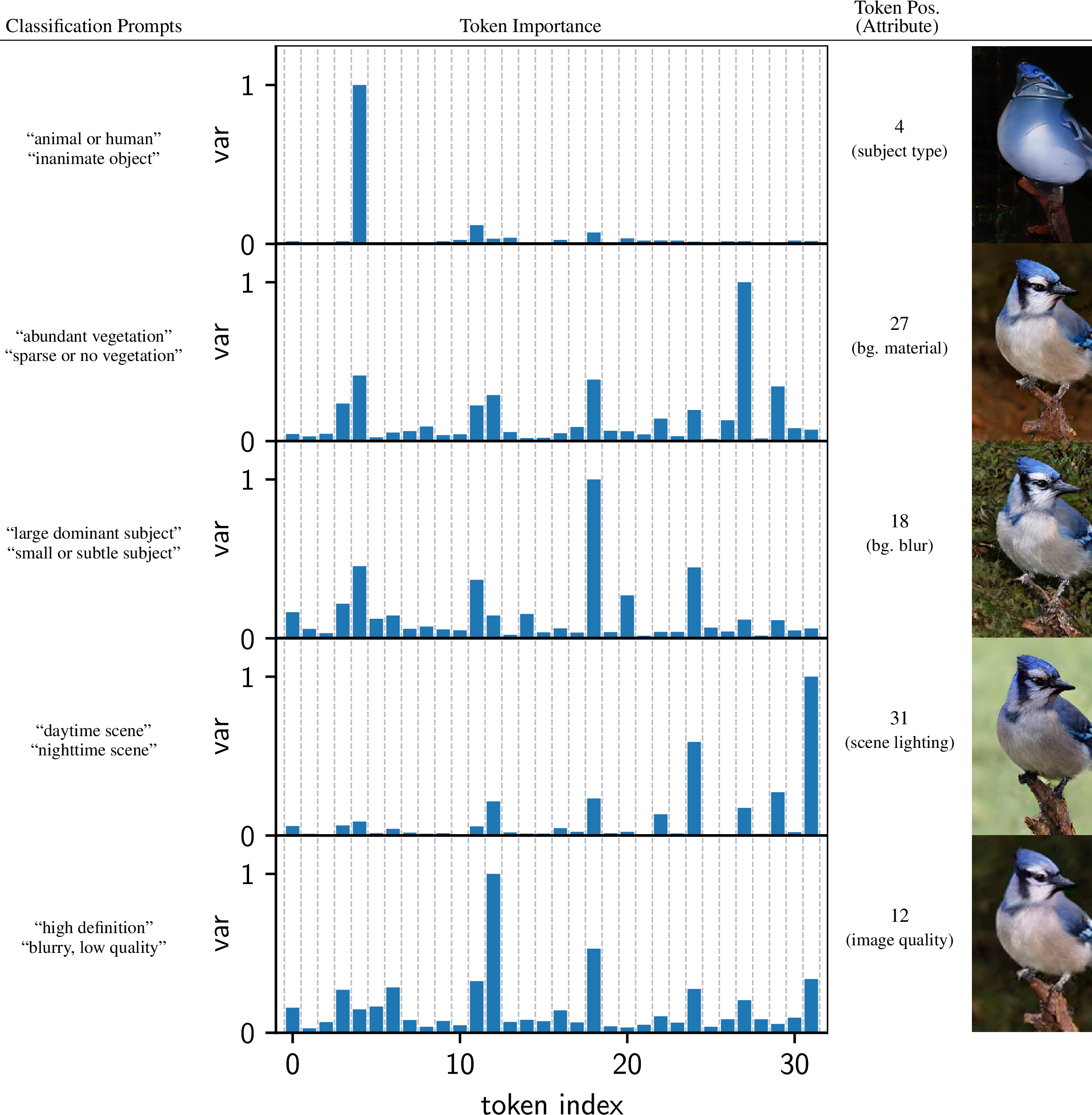 Figure 2: Certain high-level attributes are represented by particular token positions. We verify this using two independent experiments.First, we partition the ImageNet validation set into different sets of classes automatically labeled according to CLIP prompts (first column), observing for each partition that distinct token indices show the greatest variance when comparing averaged features across classes (second column; normalized).Second, we perturb token positions one-by-one (selected token positions shown in third column), visualizing the perturbation that maximizes L1 difference with respect to the unperturbed image (fourth column).The token positions identified through the token importance experiment are consistent with the attributes altered by the token perturbation experiment.
