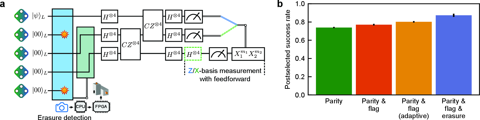 Figure 4: Logical qubit teleportation with adaptive ancilla selection. (a) After state preparation, a mid-circuit erasure check is used to select two ancillas without erasure errors to prepare a logical Bell state. The input logical state is teleported to the second ancilla block and decoded in the Z or X basis. (b) Teleportation success probability when post-selecting the final parity of all logical qubits, parity and flag, or further the absence of detected erasure errors, averaged over teleporting |00\rangle_L and |++\rangle_L. Logical ancilla blocks used to form the Bell pair are chosen at random in all cases except for the yellow bar, where ancillas are selected adaptively. The teleportation circuit with random ancilla-block selection is run (5458, 6024) times for the \ket{00}_L and \ket{\text{++}}_L inputs, respectively; with adaptive ancilla selection, the corresponding sample numbers are (5348, 6006). Error bars in (b) indicate statistical uncertainty (\pm 1\sigma).