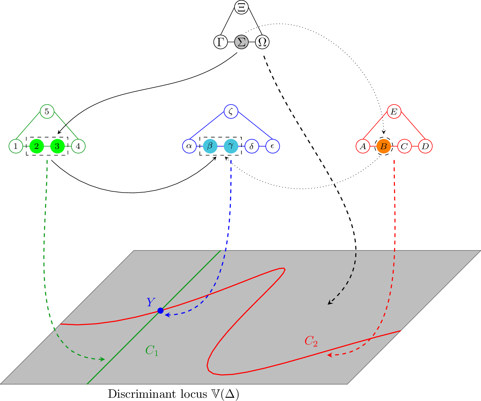 Figure 3: A schematic of a resolved elliptic fibration: over a generic point of the discriminant locus \mathbb{V}(\Delta), the fiber is a set of rational curves forming an affine Dynkin diagram (grey). Over codimension-one and two loci of the discrimant, extra \mathbb{P}^1s appear (green, red and blue, respectively). The image tracks the fate of \mathbb{P}^1 components as we move to higher and higher codimension loci of \mathbb{V}(\Delta). Image modified from [52].