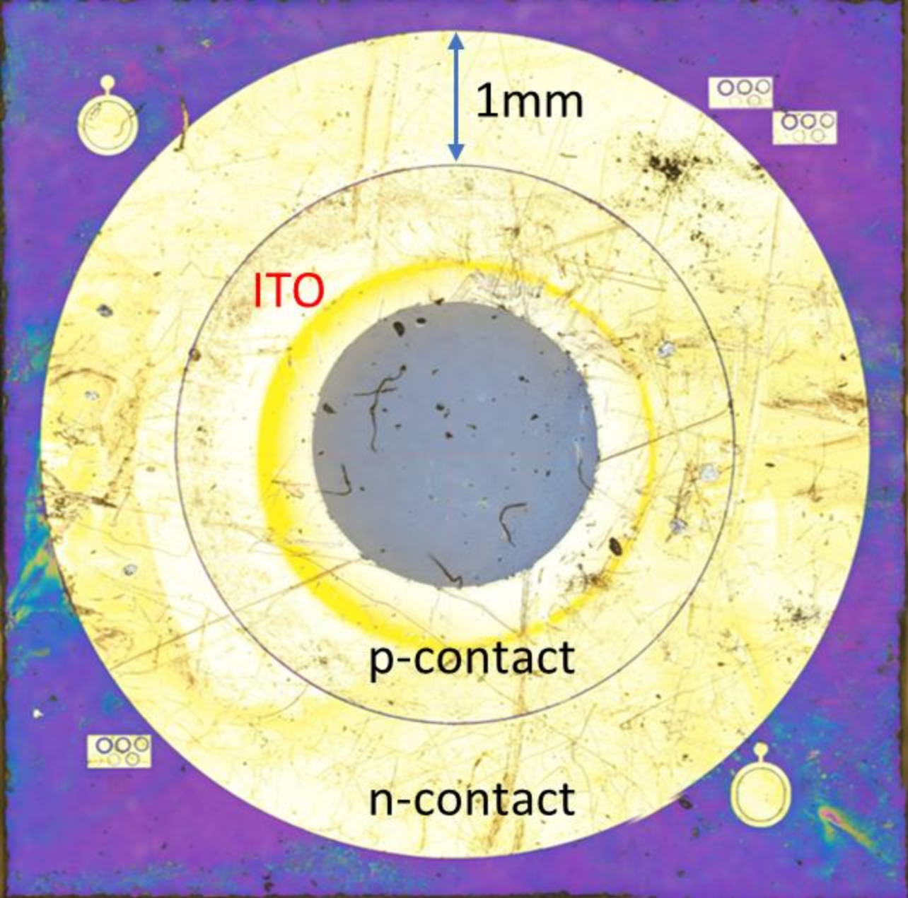 Figure 6: A photograph of the LED contact geometry taken from above. The concentric, circular geometry of the contacts is well adapted to studies with the STLM but results in current crowding at the inner edge of the contact. In devices that are not studied with the STLM, an ITO layer can be added, as shown, to avoid this.
