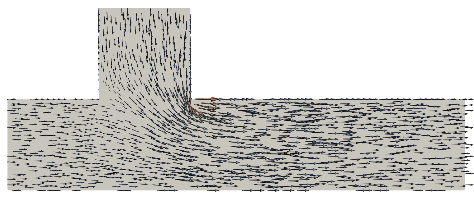 Figure 6: Multi-species example: flow field computed from the resolution of the Darcy problem.
