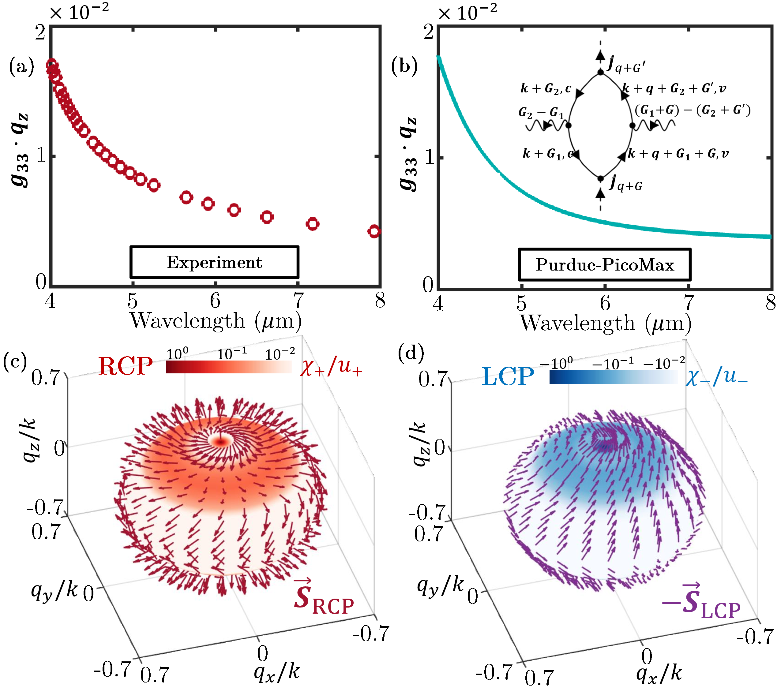 Figure 2: Super-dispersive optical gyrotropy and chirality density for undoped Te. (a) Experimental plot of the projection of the longitudinal gyration tensor component \boldsymbol{g}_{33} on the photon momentum, vs. (b) Theoretical prediction using Purdue-PicoMax at \boldsymbol{q}=(0,0,0.1)2\pi/a . The Feynman diagram in the inset reflects the transverse SILC of the induced transverse current including the momentum-exchange processes. Here, c and v represent the conduction and valence bands respectively. (c,d) The spin-resolved chirality density projection and total spin on the isofrequency surface of RCP (+) at \omega=60THz (c) and LCP (-) (d). The concentration near the pole of the sphere and the difference between RCP and LCP illustrates the suitable axis (optic axis) for observing high optical activity.