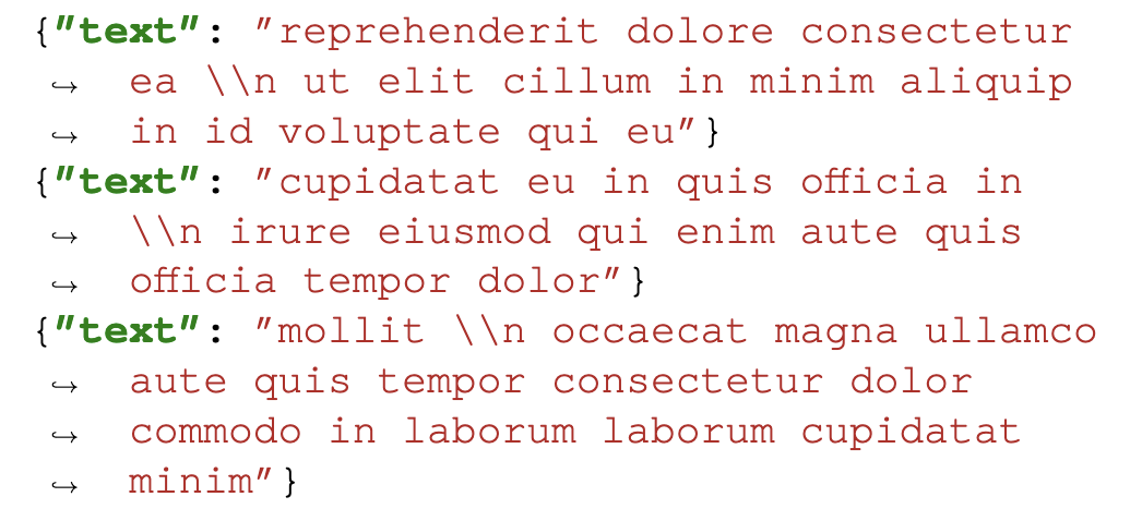 Figure 2: Sample JSONL structure.