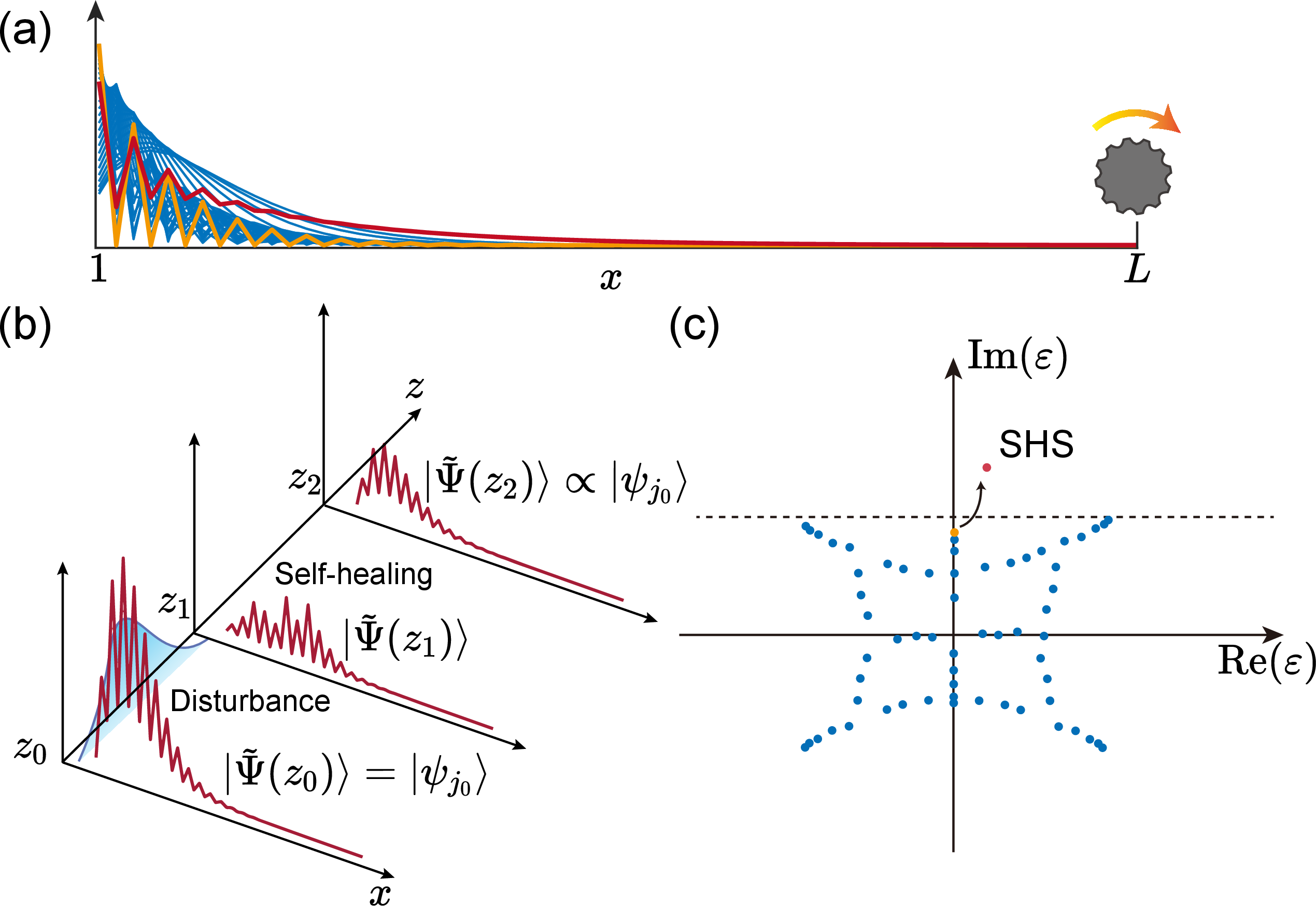 Figure 1: (a) Tunability of a skin mode localized at the left boundary by a local perturbation acting on the right end. (b) Schematic of SHE, which demonstrates the wave function recovers to its original form after encountering a disturbance. (c) Mechanism of the SHE based on the SMT shown in (a), where the SHS is spectrally isolated with the largest imaginary eigenenergy, \Im \epsilon_{j_0}.