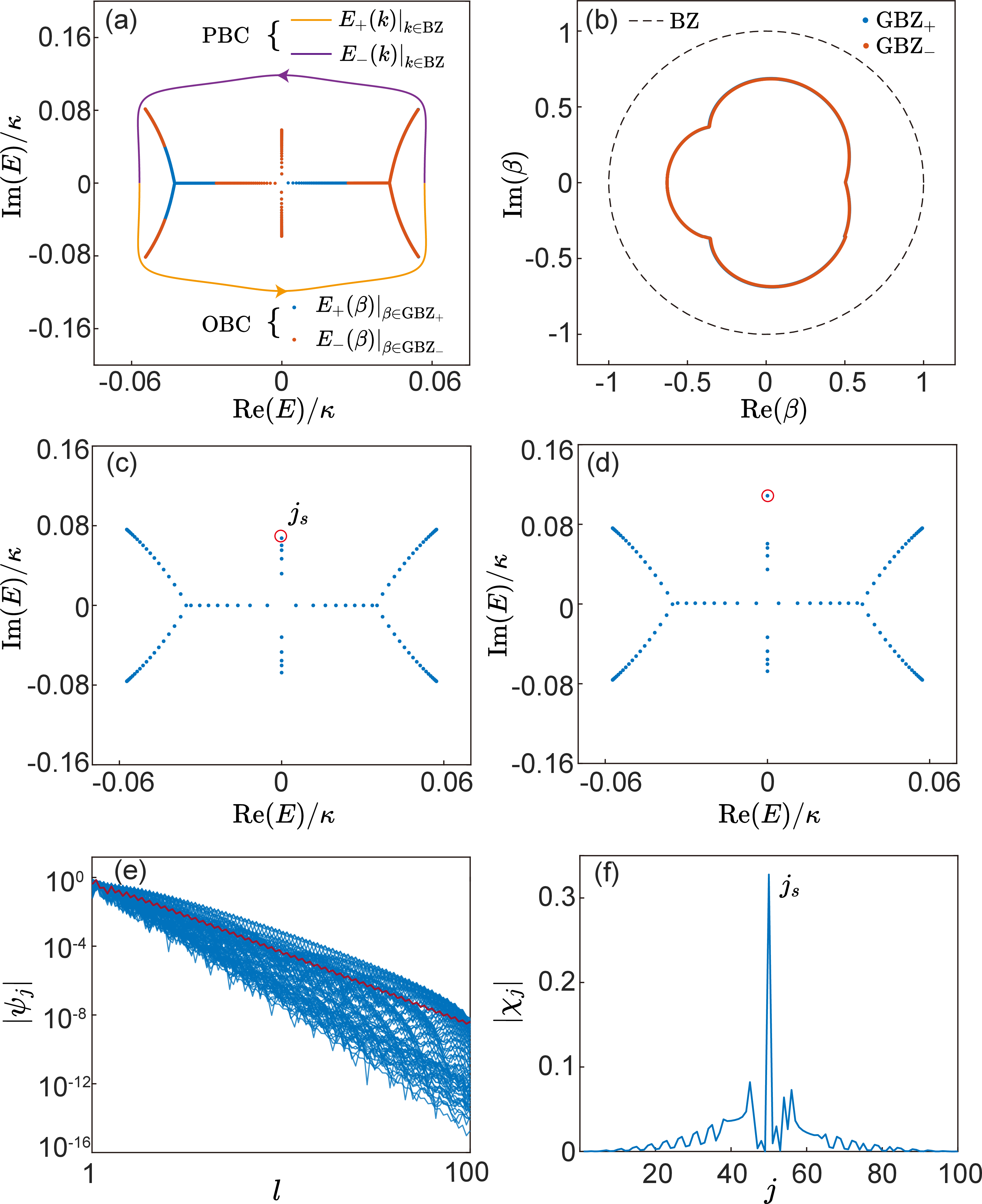 Figure 4: (a) Energy spectrum of \mathcal{H}_\text{F}^{\text{PBC}}, which forms a loop and exhibits a nonzero winding number W=1. The spectrum of \mathcal{H}_\text{F}^{\text{OBC}} in the thermodynamic limit is inside the spectrum of \mathcal{H}_\text{F}^{\text{PBC}}. (b) The calculated \text{GBZ}, which lies inside the unit circle and the two sub-GBZs nearly coincide. (c) Spectrum of \mathcal{H}_\text{F}^{\text{OBC}} for L=50 unit cells. The state |\psi_{j_s}\rangle with the maximum SMT is highlighted with a red circle. (d) Spectrum of the effective Hamiltonian \widetilde{\mathcal{H}}_\text{F}^{\text{OBC}} when a controlled potential \delta V=0.06i\kappa is applied to the right end of \mathcal{H}(z) under OBC. Compared with \mathcal{H}_\text{F}^{\text{OBC}}, the eigenvalues of most skin modes remain nearly unchanged, except for |\psi_{j_s}\rangle (red circle). (e) Spatial distribution of all eigenstates |\psi_j\rangle, where |\psi_{j_s}\rangle is highlighted in red. (f) |\chi_j| of all states, showing that j_s=50 corresponds to the skin mode with the maximum SMT.