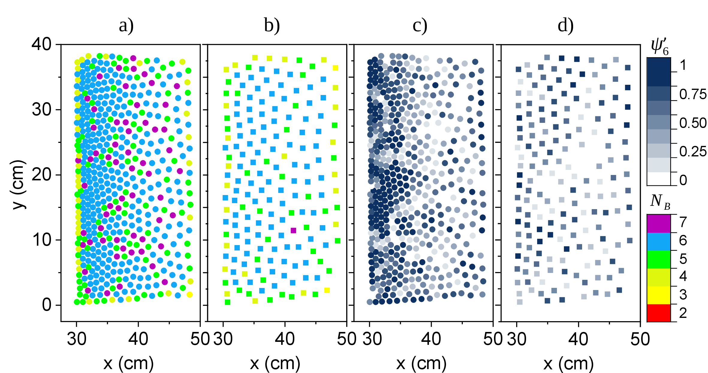 Figure 10: (a and b) Spatial diagrams indicating the number of nearest neighbors around the repelling disks (a, solid circles) and bars (b, solid squares) at the end of a compression protocol with parameters v=5 cm/s and \epsilon=0.6, represented by the color scale in the bottom right. (c and d) Corresponding values of bond orientational parameter \psi_6^{\prime}, represented by the palette of blue tones in the top right (compression along the x-axis in the horizontal XY plane).