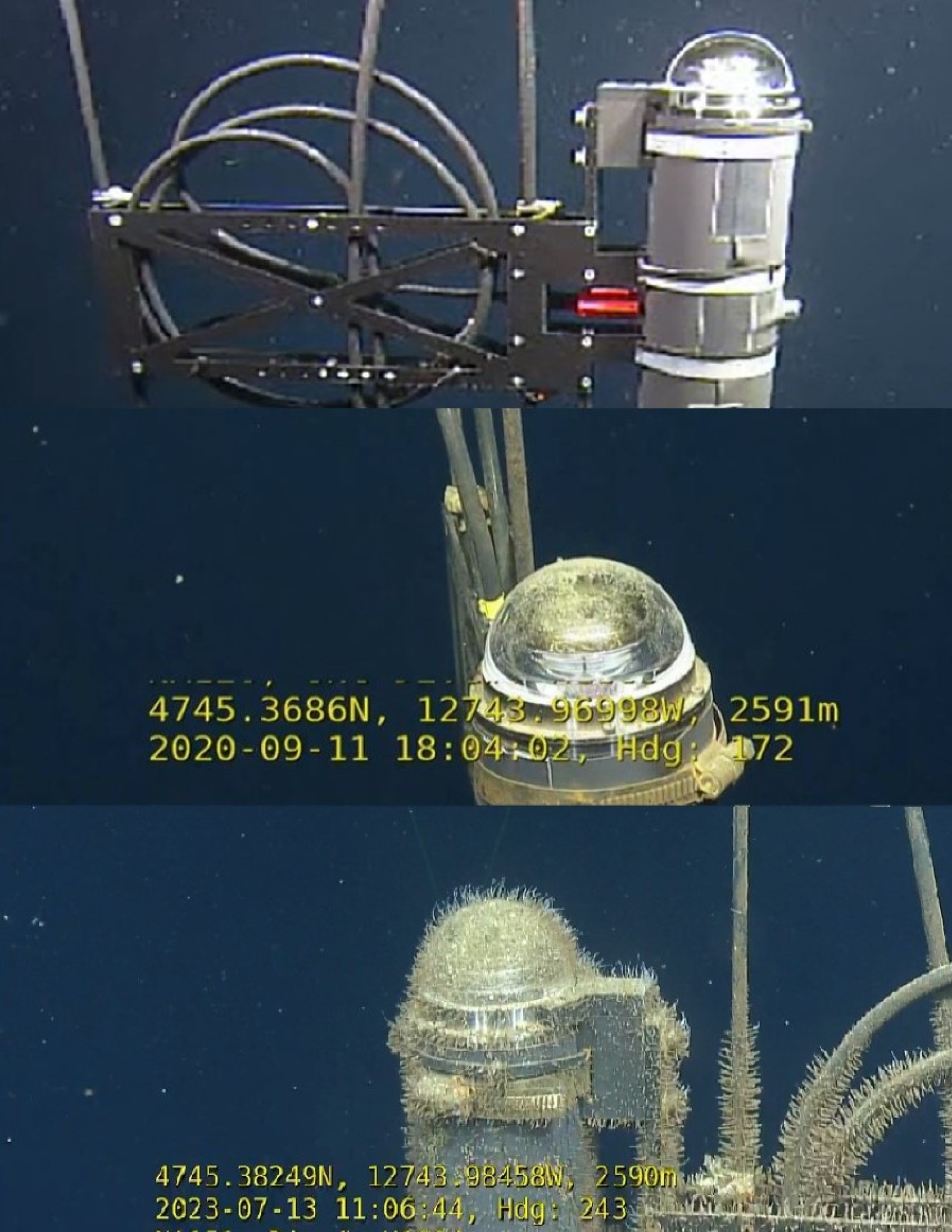 Figure 2: Image of an optical module that was part of the straw apparatus. The module is shown clean shortly after deployment in 2018 (a.). An amount of buildup is visible in the 2020 survey (b.). The final 2023 survey shows a developed macro-fouling population, composed primarily of hydroids (c.).