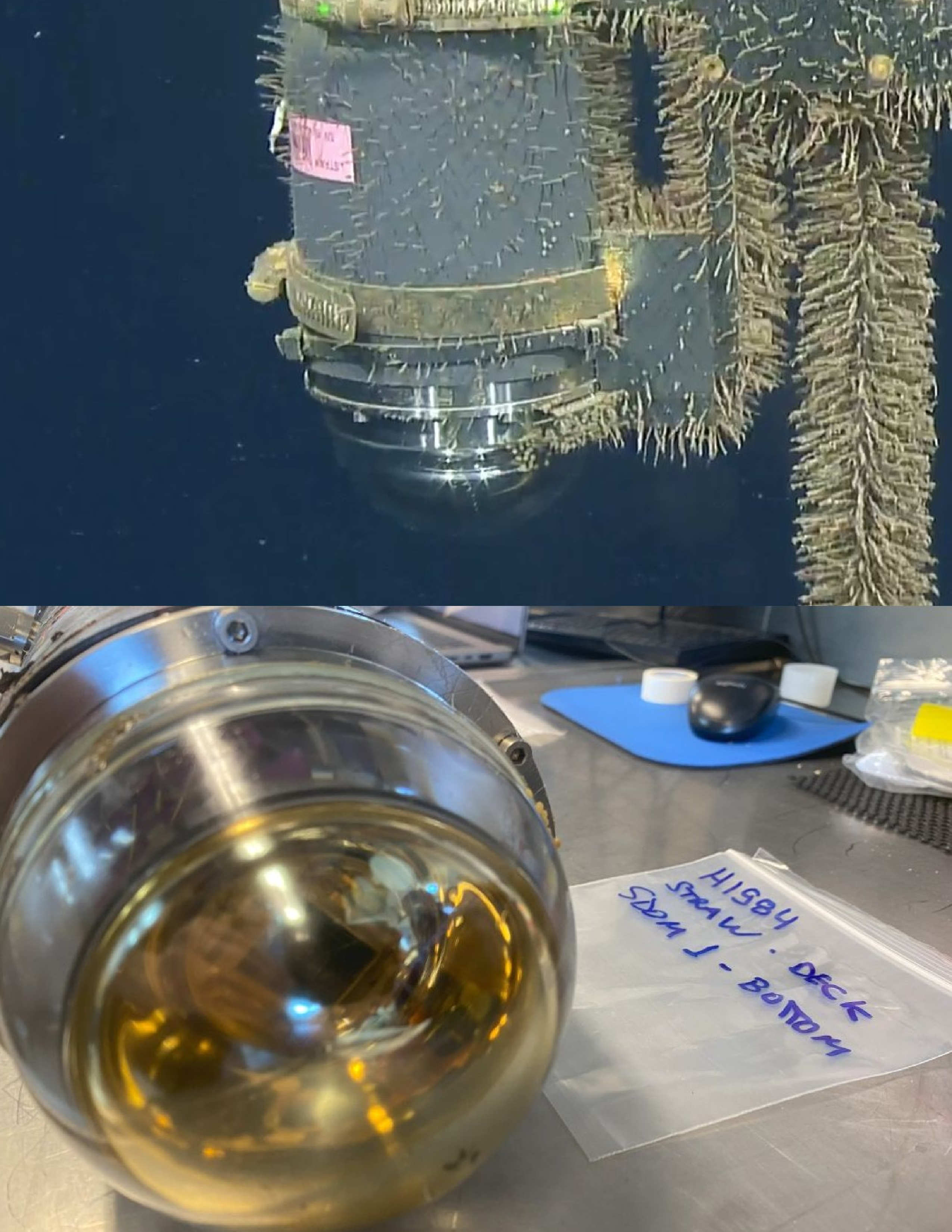 Figure 4: straw sdom1 during the rov survey (a.) and on deck after recovery (b.), showing an unobstructed downward-facing optical surface.