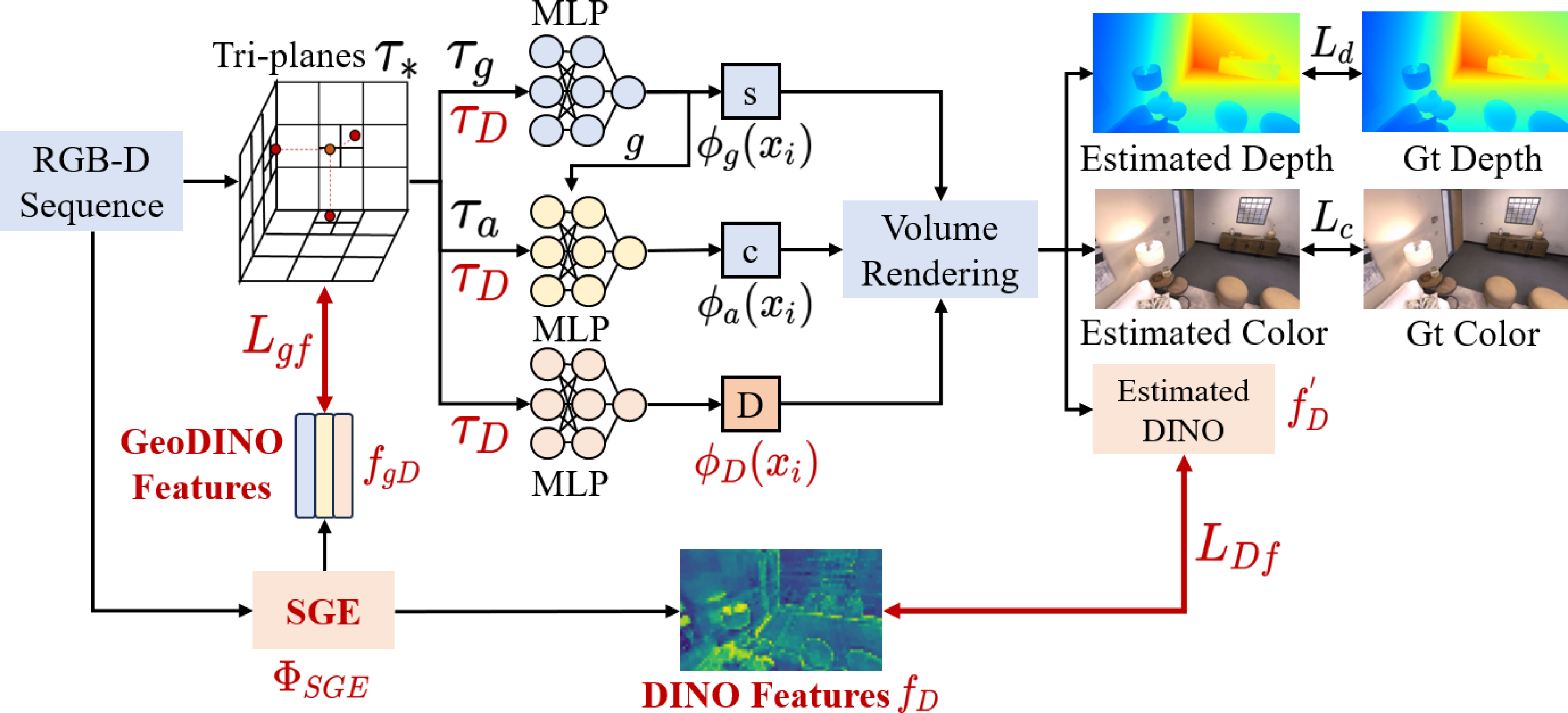 Figure 3: Architectures of DINO-informed, NeRF-based SLAM pipelines. We leverage geoDINO features f_{gD} to supervise features – e.g., tri-plane \tau _{D}, while DINO features f_{D} guide the optimization of the DINO feature map f_{D}^{'} estimated by NeRF.