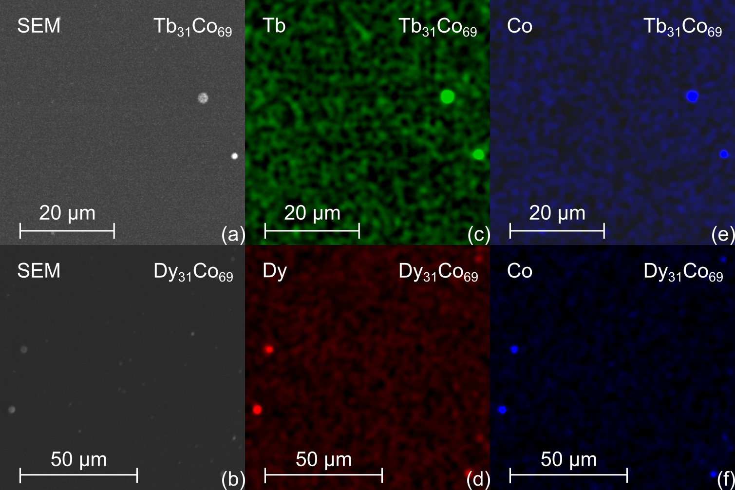 Figure 1: (a) and (b) Topography of the Tb_{31}Co_{69} and Dy_{31}Co_{69} layers. (c-f) Chemical maps of specific elements for the samples with the Tb_{31}Co_{69} and Dy_{31}Co_{69} layers.