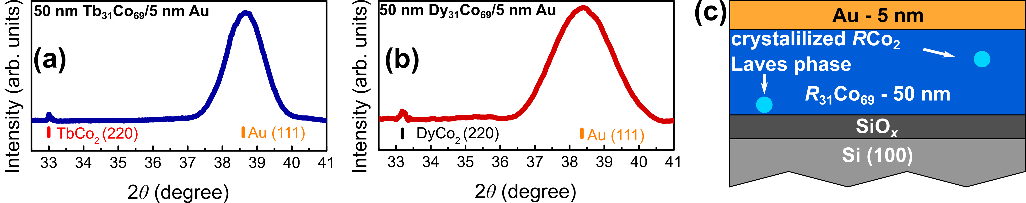 Figure 2: (a) and (b) X-ray diffraction patterns of the Tb_{31}Co_{69} and Dy_{31}Co_{69} layers.Wide maxima at 2\theta = 38.3^{\circ} are related to the Au (111) peak, small maxima at 2\theta = 33.1^{\circ} are related to the TbCo_2 and DyCo_2 (220) peaks.(c) Schematic illustration of the samples studied.Small light blue balls indicate crystals of the RCo_2 Laves phase.