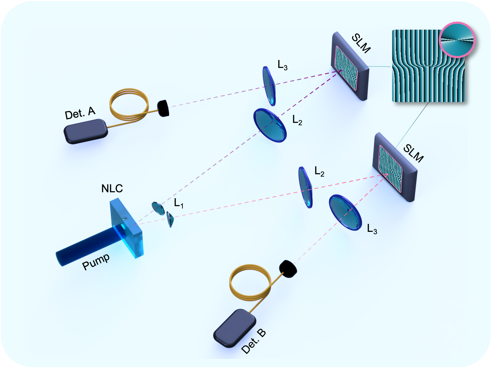 Figure 2: Schematic diagram of the non-degenerate quantum experiment used to create OAM entangled photons. A non-linear crystal (NLC) is used to produce dual-wavelength SPDC at \lambda_1 = 810 nm and \lambda_2 = 1550 nm. The plane of the crystal is imaged onto two spatial light modulators (SLM). OAM projection holograms are displayed on each SLM with the x-coordinate contracted as x\rightarrow x/\gamma to perform joint projections. The photons are thereafter coupled into SMFs connected to single-photon detectors (Det. A(B)).