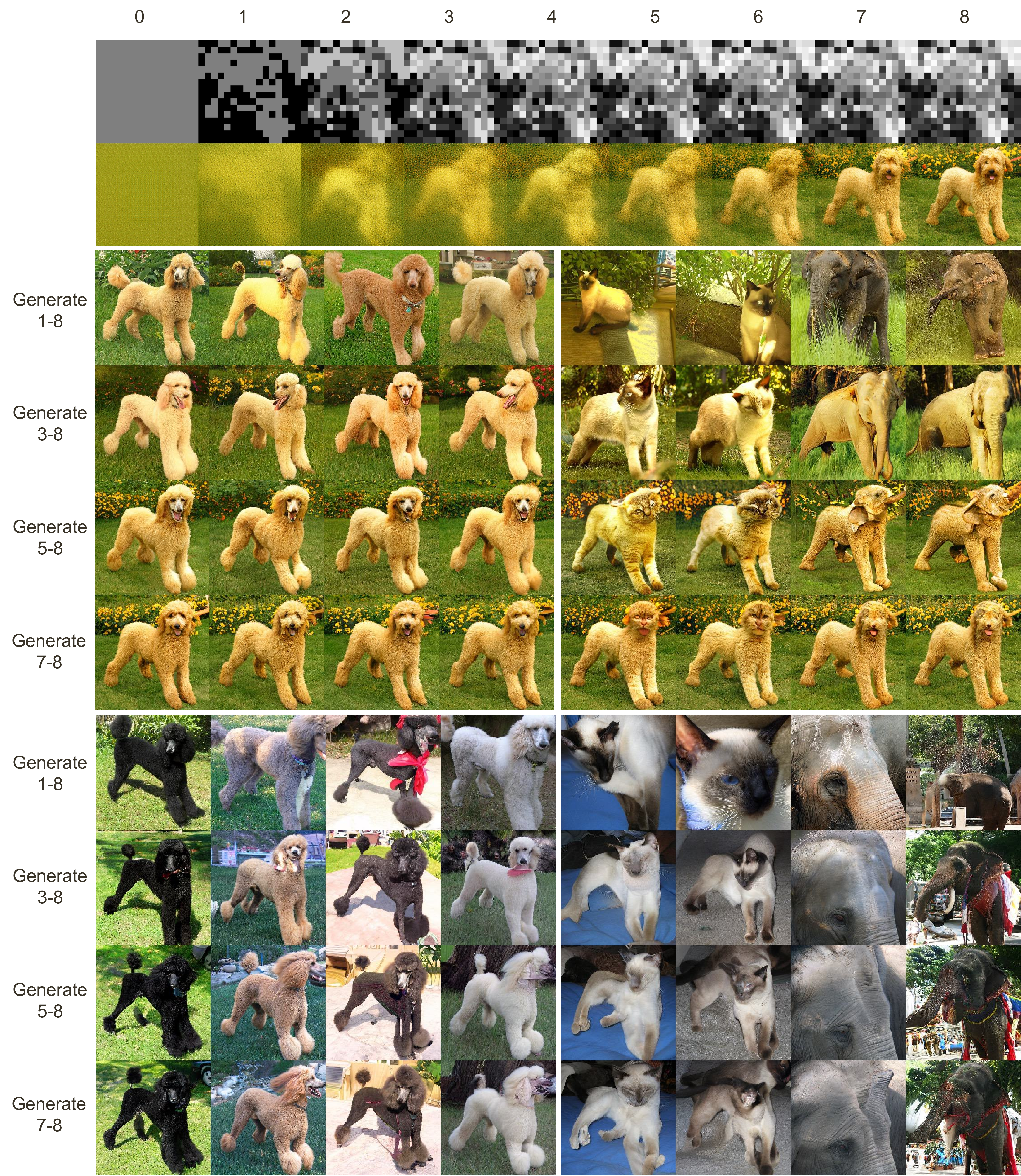 Figure 7: Visualization of stage-wise controlled generation results. Top row shows how the reference image is reconstructed at each stage. Middle row shows generated images where both the content and structure from previous stages are preserved. Bottom row shows generated images where only the structure from previous stages is preserved. The left column uses the class "standard poodle" as guidance, which closely resembles the reference image. The right column uses the classes "Siamese cat" and "Indian elephant" as guidance, representing out-of-distribution (OOD) examples. In the case of “Generate i-8”, the structure of i-stage is provided by the reference image.