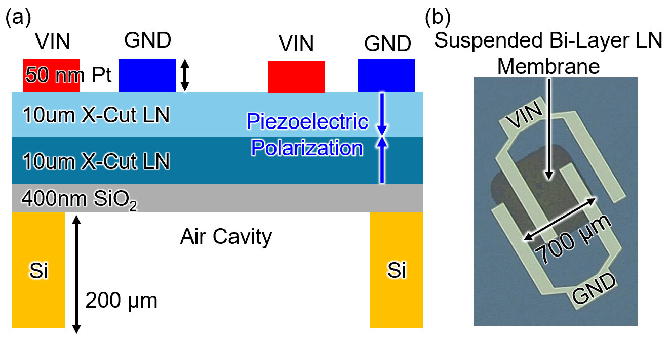 Figure 1: (a) Top view cross-section of the lateral field excited bimorph X-cut LN PMUT. (b) Optical image of the fabricated suspended LN PMUT with top electrodes labeled as VIN and GND.