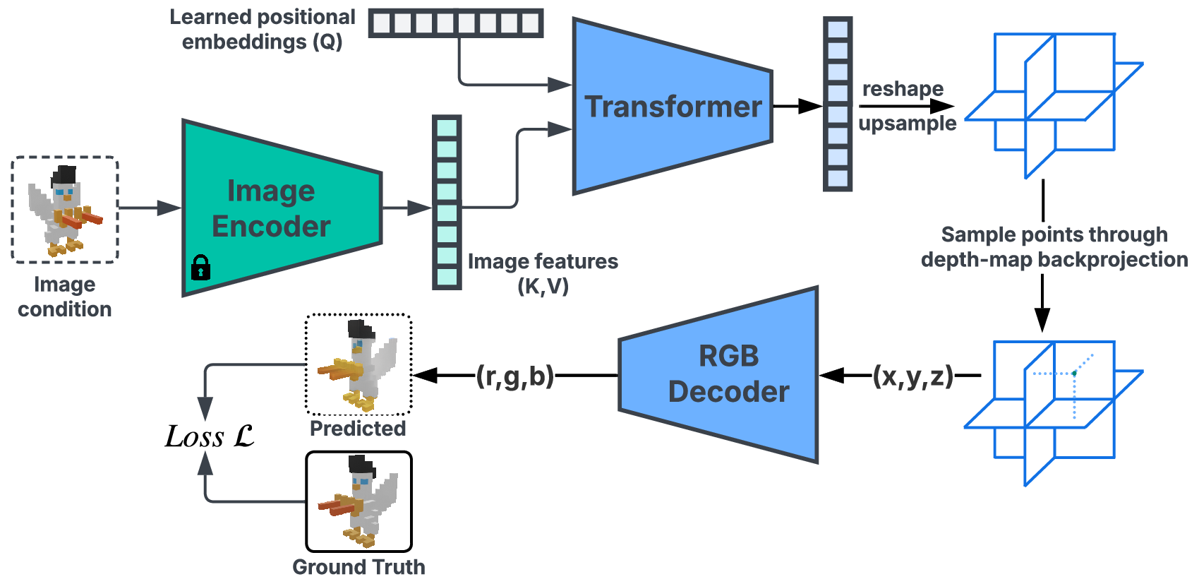 Figure 2: An overview of the training stage of our method. Given a single input image and a 3D mesh, we extract visual features from the image using a pre-trained DINO [19] encoder. Learned positional embeddings are processed by a transformer and fused with the visual features through cross-attention. The output is reshaped into a triplane texture representation. Query points sampled via depth-map backprojection are decoded into RGB values, yielding a 3D texture field. The model is trained end-to-end with supervision from ground-truth colors.