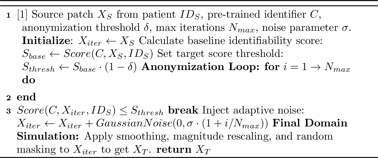 Figure 3: Iterative Source Anonymization and Domain Adaptation