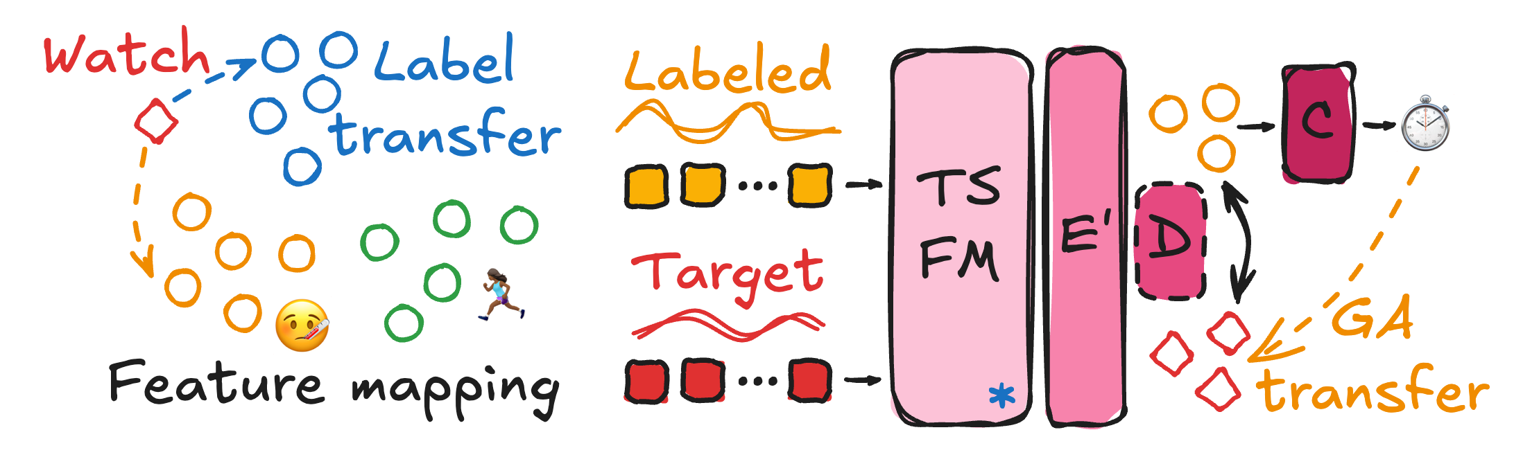 Figure 1: Aligning TSFM Embeddings for Label Transfer. Our framework uses a pre-trained TSFM to embed source (labeled) and target (watch, un-labeled) data. A trainable adapter (E^{\prime}) and a domain discriminator (D) align the embeddings, enabling a task classifier (C) to perform zero-shot transfer of the gestational age label (GA) to consumer devices.