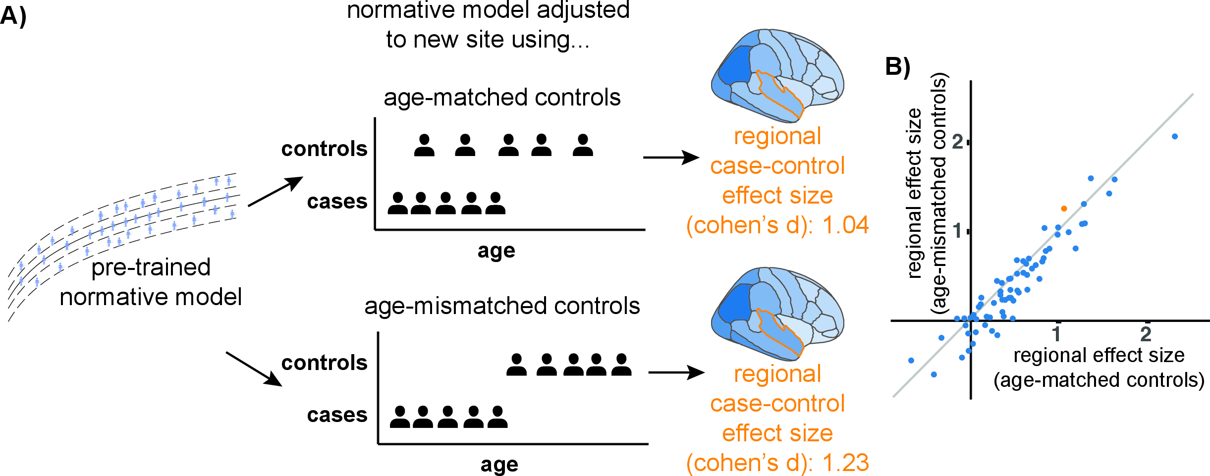 Figure 4: Reliability of normative modelling outputs in the presence of an age mismatch between controls and cases. A: Illustration of analysis. Pretrained regional normative models of cortical thickness were calibrated to a new site using either age-matched or age-mismatched healthy controls. Regional case–control effect sizes (Cohen’s d) were computed. B: Correlation of regional effect sizes obtained using age-matched vs age-mismatched controls. Each data point represents a region of interest.