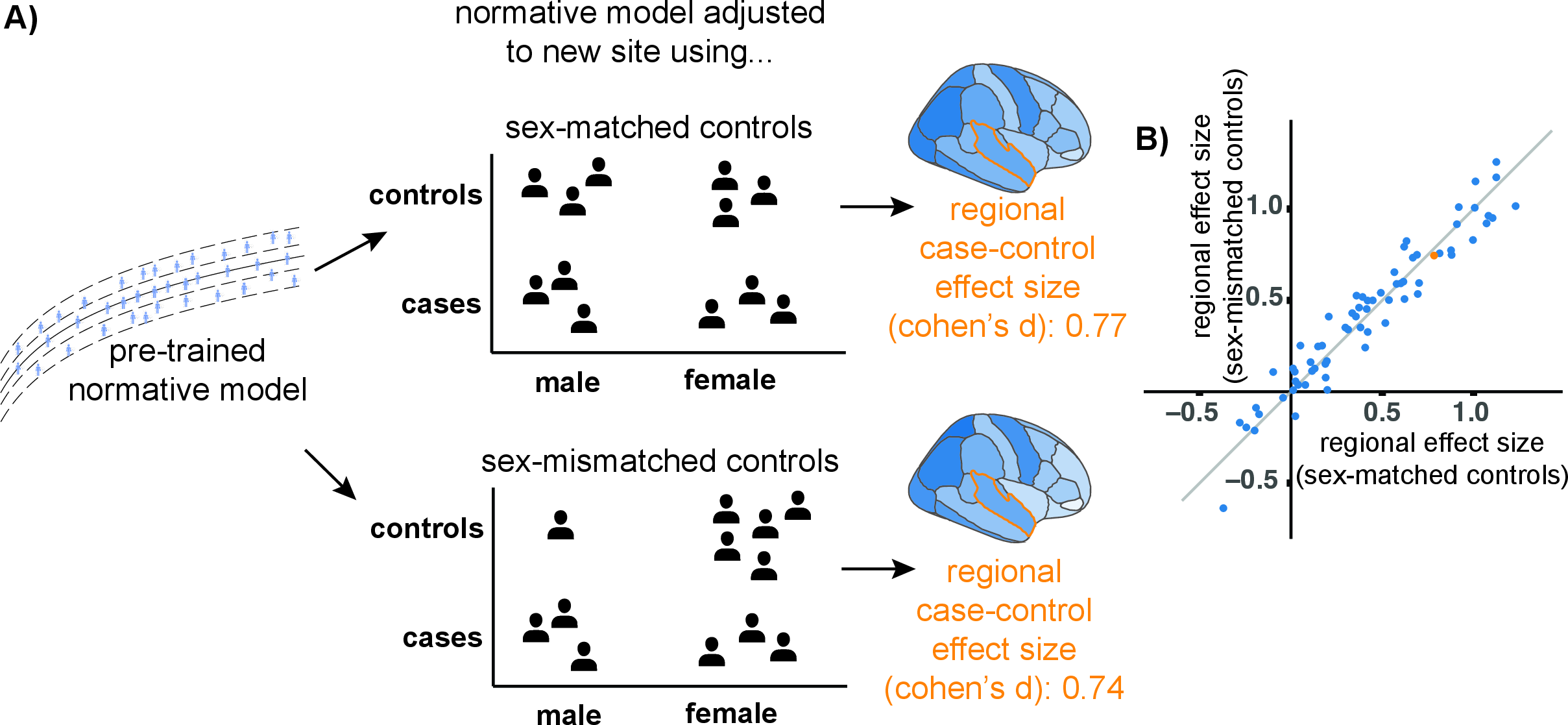 Figure 5: Reliability of normative modelling outputs in the presence of a sex mismatch between controls and cases. A: Illustration of analysis. Pretrained regional normative models of cortical thickness were calibrated to a new site using either sex-matched or sex-mismatched healthy controls. Regional case–control effect sizes (Cohen’s d) were computed. B: Correlation of regional effect sizes obtained using sex-matched vs sex-mismatched controls. Each data point represents a region of interest.
