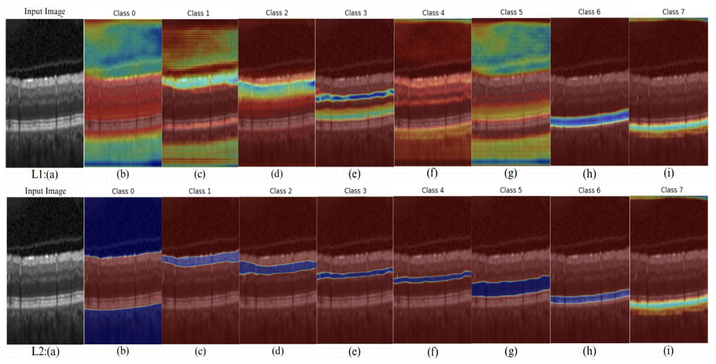 Figure 6: Visualization of hierarchical feature maps from two consecutive convolutional layers (Conv2d_19 and Conv2d_20). (L1): (a) Input image; (b–i) Feature maps from Conv2d_19, corresponding to Class 0–7. Bottom row (L2): (a–i) Feature maps from Conv2d_20.
