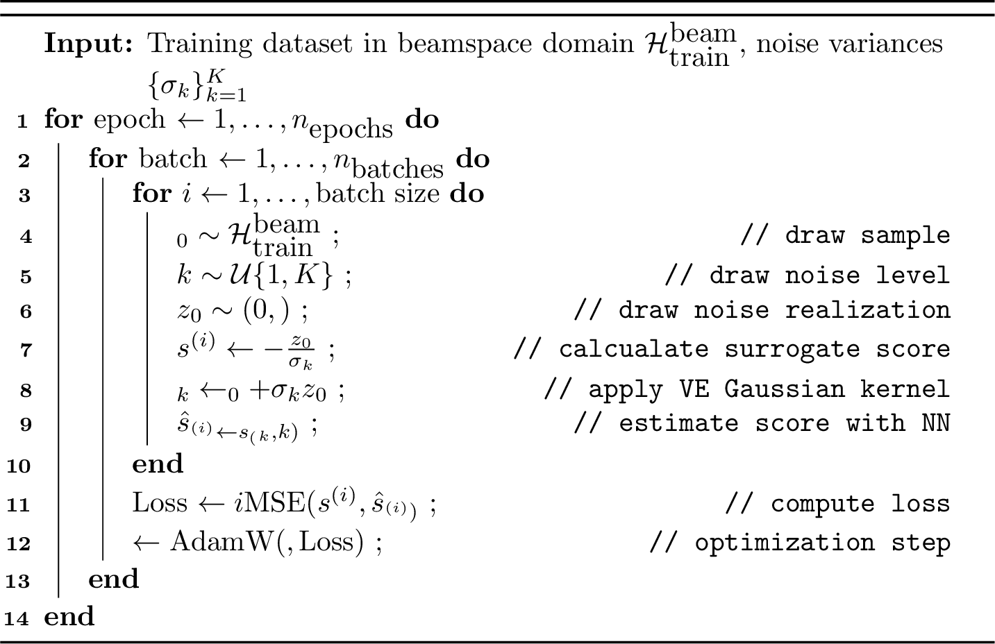 Figure 1: NN training with DSM