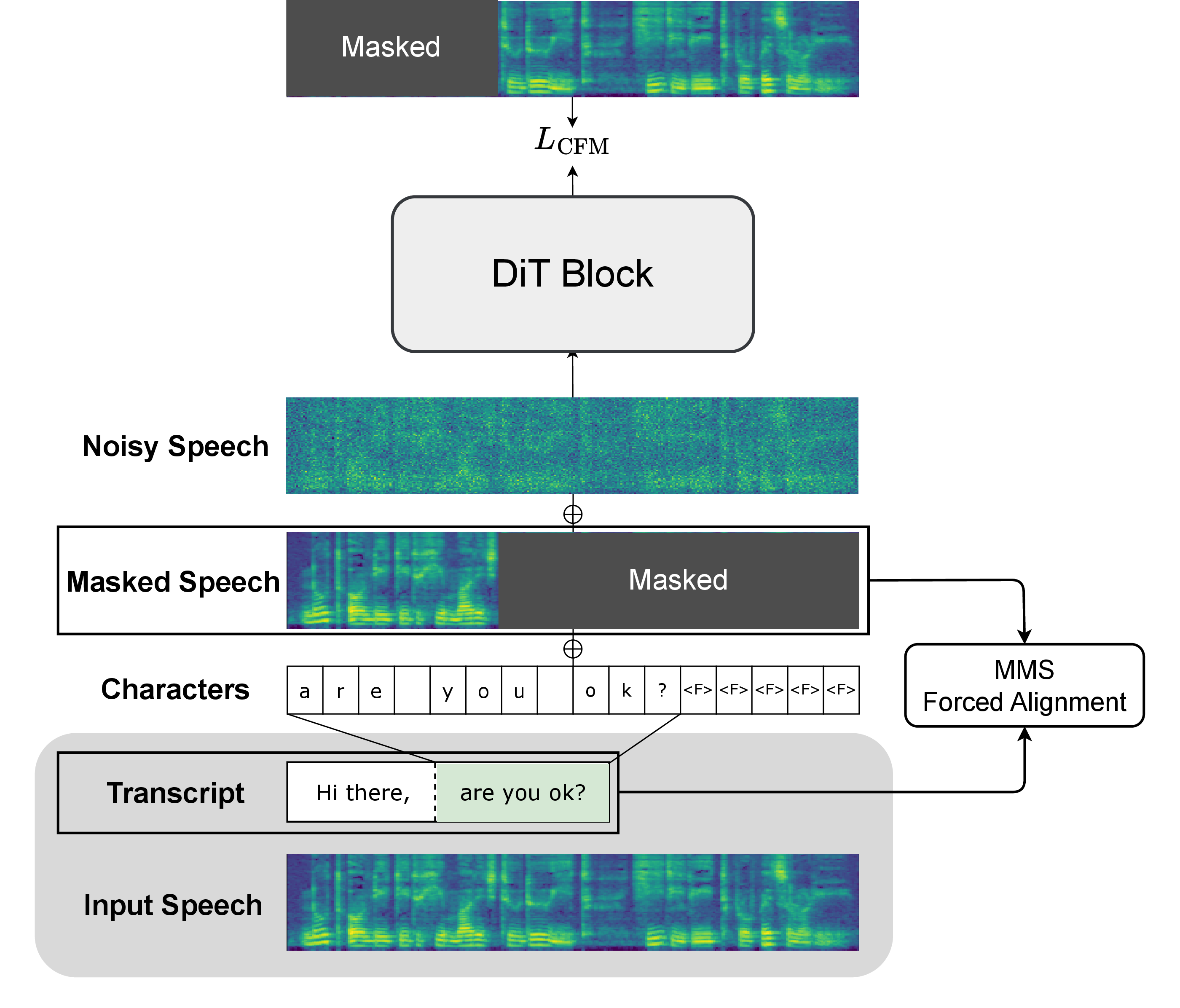 Figure 1: Training framework of Cross-Lingual F5-TTS. MMS forced alignment produces word boundaries for training data, where the left segment serves as transcript-free audio prompt and the mel spectrogram of the right segment is masked for prediction.