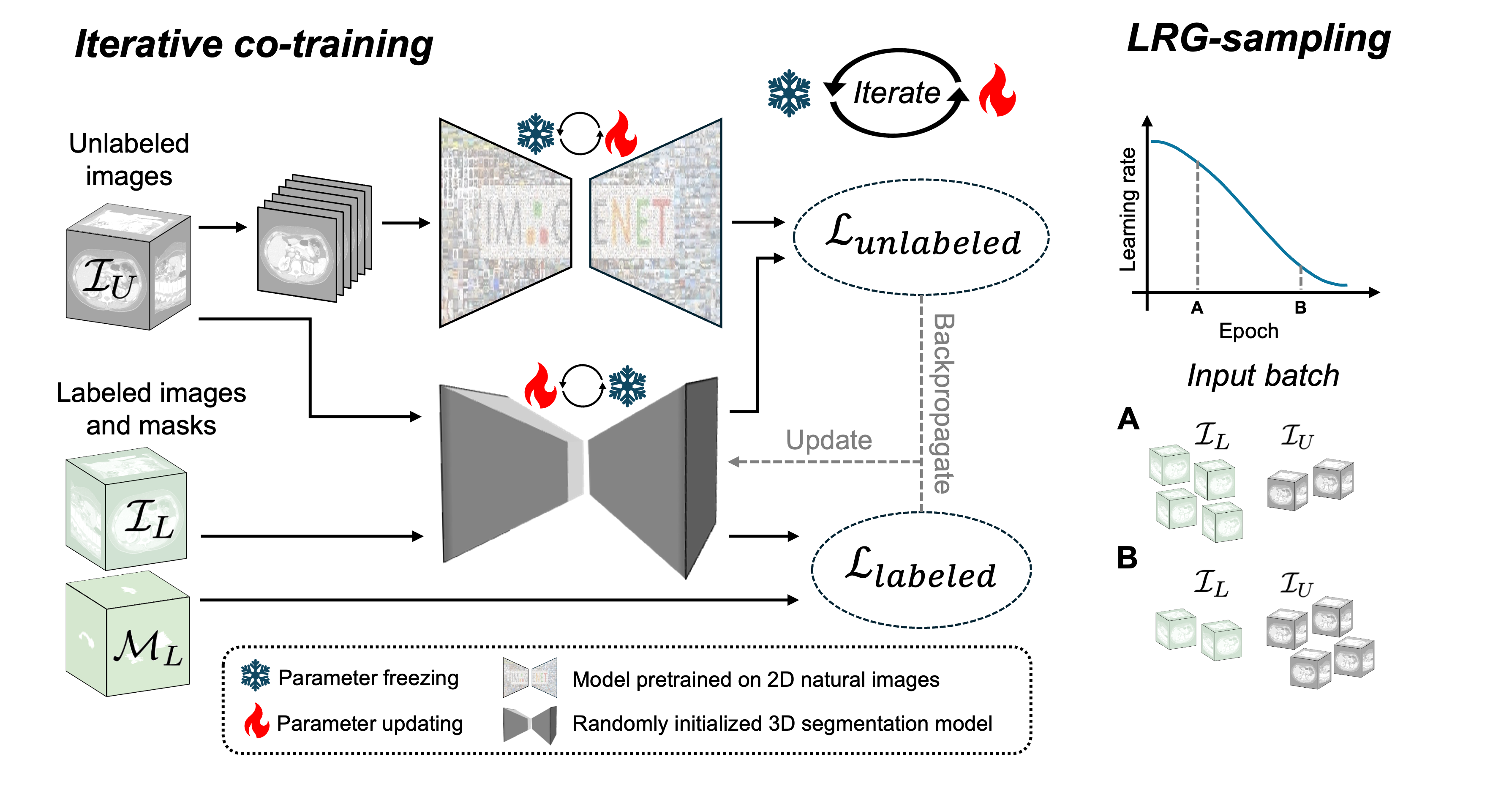 Figure 1: Pipeline of our proposed M&N framework. The 2D and 3D models are iteratively co-trained using pseudo-masks generated by each other, with the unlabeled loss (\mathcal{L}_{unlabled}), and using labeled images and masks with the labeled loss (\mathcal{L}_{labled}). This iterative process alternates between odd and even epochs. LRG-sampling dynamically adjusts the proportion of labeled and unlabeled data in each batch based on the current learning rate, optimizing the utilization of available training data.