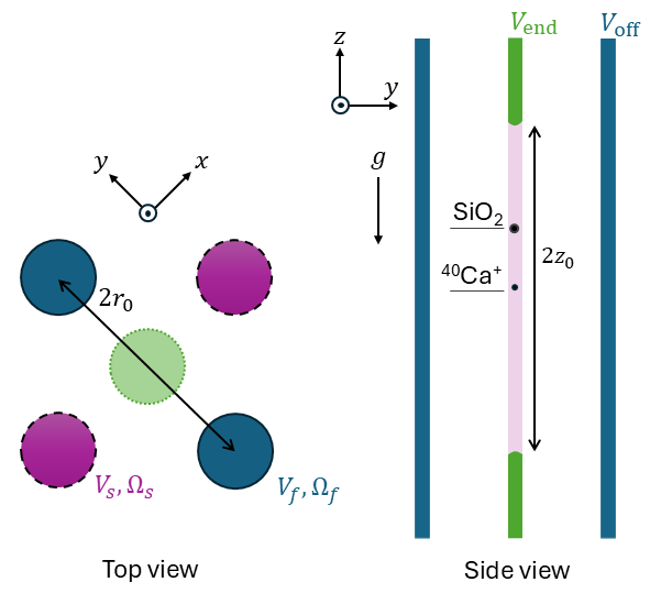 Figure 1: Exemplary schematic of the setup, showing a linear dual frequency Paul trap. The blue electrodes are driven by the fast voltage while the purple-colour electrodes are driven by the slow voltage. The green-colour electrodes are the end-cap electrodes driven by a DC voltage. The distances and co-trapped particles are indicated in the figure; the figure is not to scale. Such a setup was proposed an realized in Ref. [24].