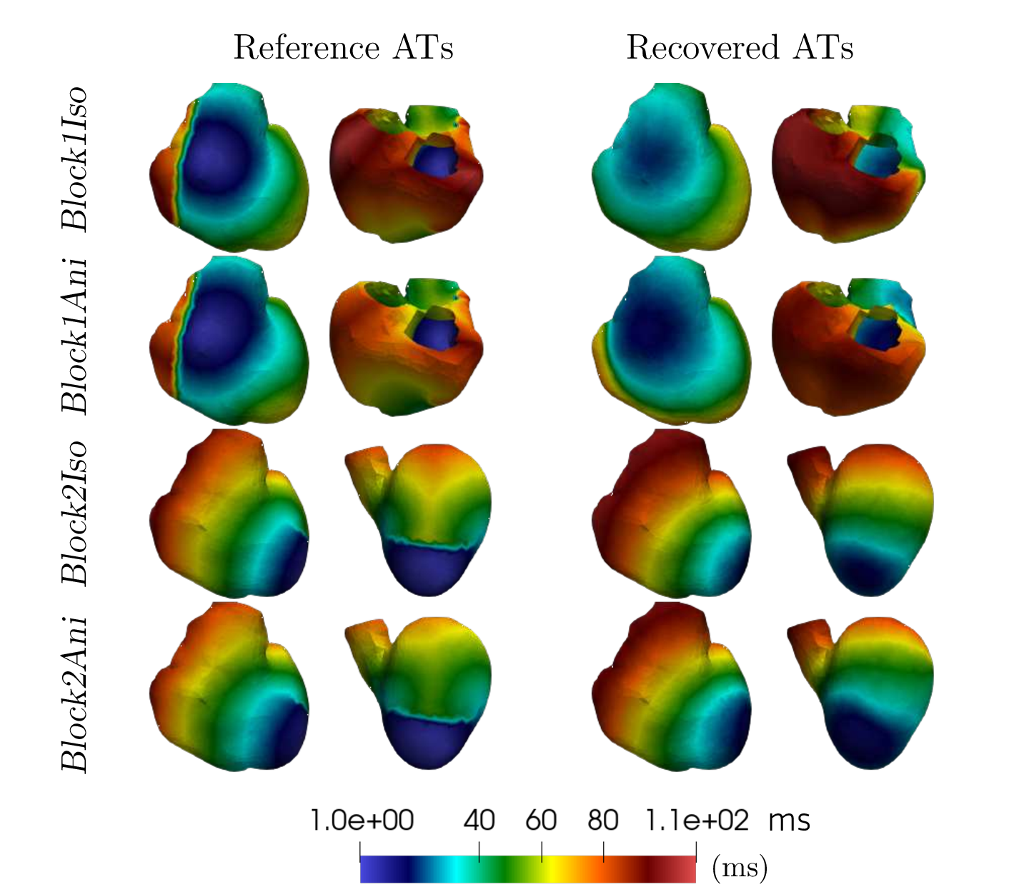 Figure 10: Activation maps obtained with only one homogeneous geodesic distance. The conduction lines of block cannot be reconstructed.
