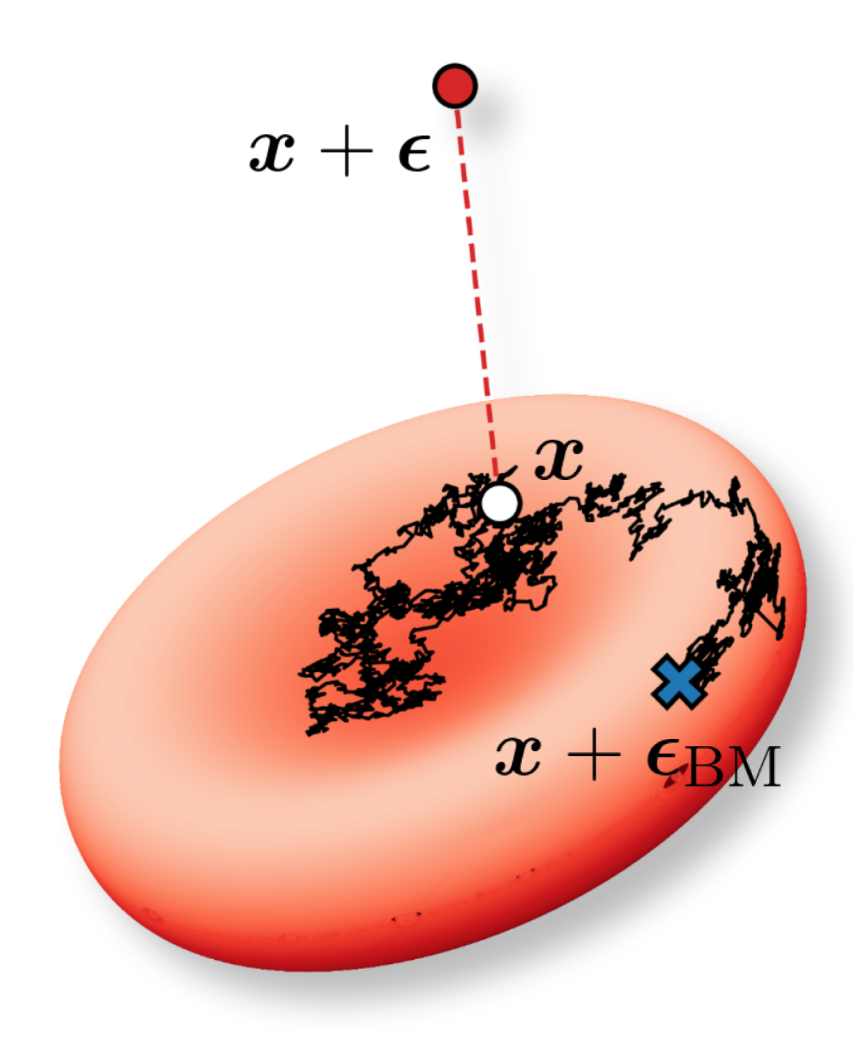 Figure 1: Noise injection is a data augmentation technique that can improve generalisation. For a data point (;) lying on a lower-dimensional manifold, sampling noise in the ambient space (;) almost surely deviates from the input manifold whereas a sample from a geometry-aware noise process ( (-2.5pt,-2.5pt) – (2.5pt,2.5pt) (-2.5pt,2.5pt) – (2.5pt,-2.5pt);) stays on the manifold and respects the data geometry. Illustration of the biconcave disc that resembles a red blood cell.