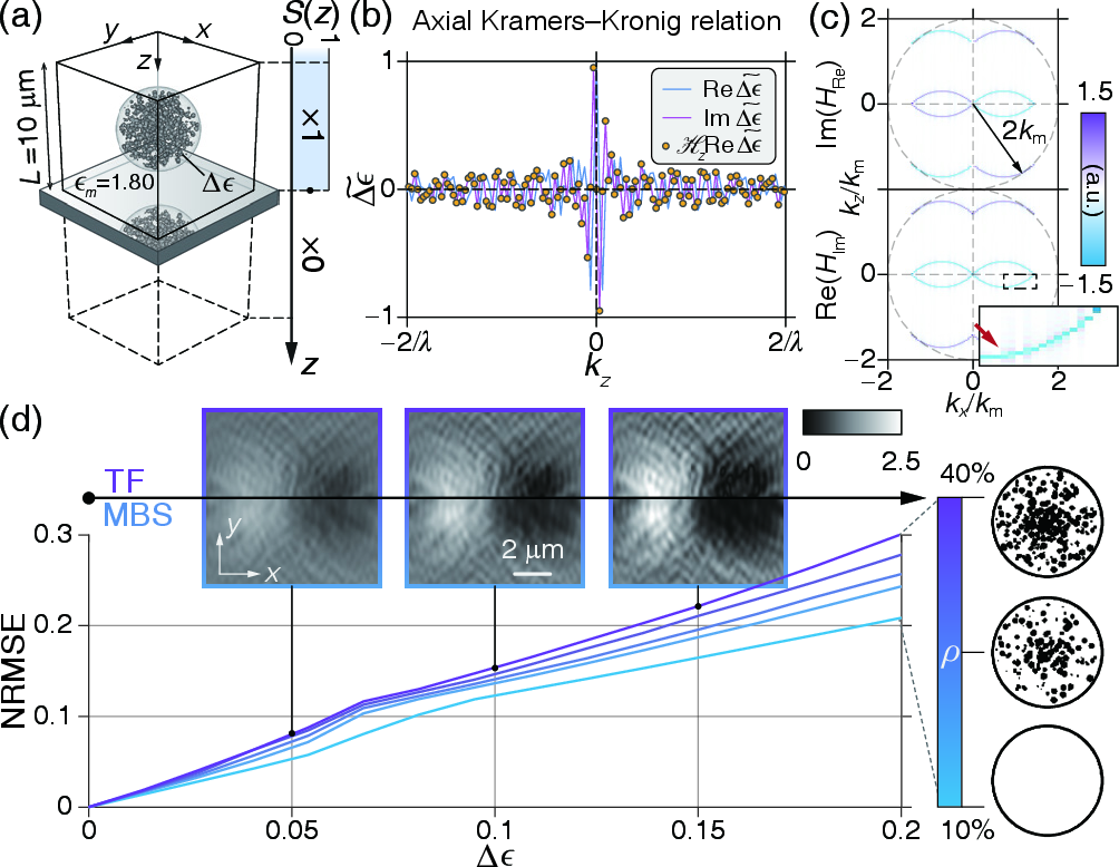 Figure 2: (a) Synthetic object above a mirror substrate. The mirror acts as a step function, enforcing causality in the scattering spectra.(b) Real and imaginary parts of the normalized object spectrum at \mathbf{k}_{\parallel}=(0,0); yellow points show \mathscr{H}_z[\mathrm{Re}(\widetilde{\Delta\epsilon})] matching \mathrm{Im}(\widetilde{\Delta\epsilon}), demonstrating the axial KK relation.(c) k_x-k_z profile of the 3D transfer function for a 0.95 NA under NA-matched incidence, k_m = \epsilon^{1/2}_mk_0.(d) NRMSE between the transfer function and MBS models as a function of \Delta \epsilon and volume fraction; insets show representative computed patterns at increasing \Delta \epsilon.