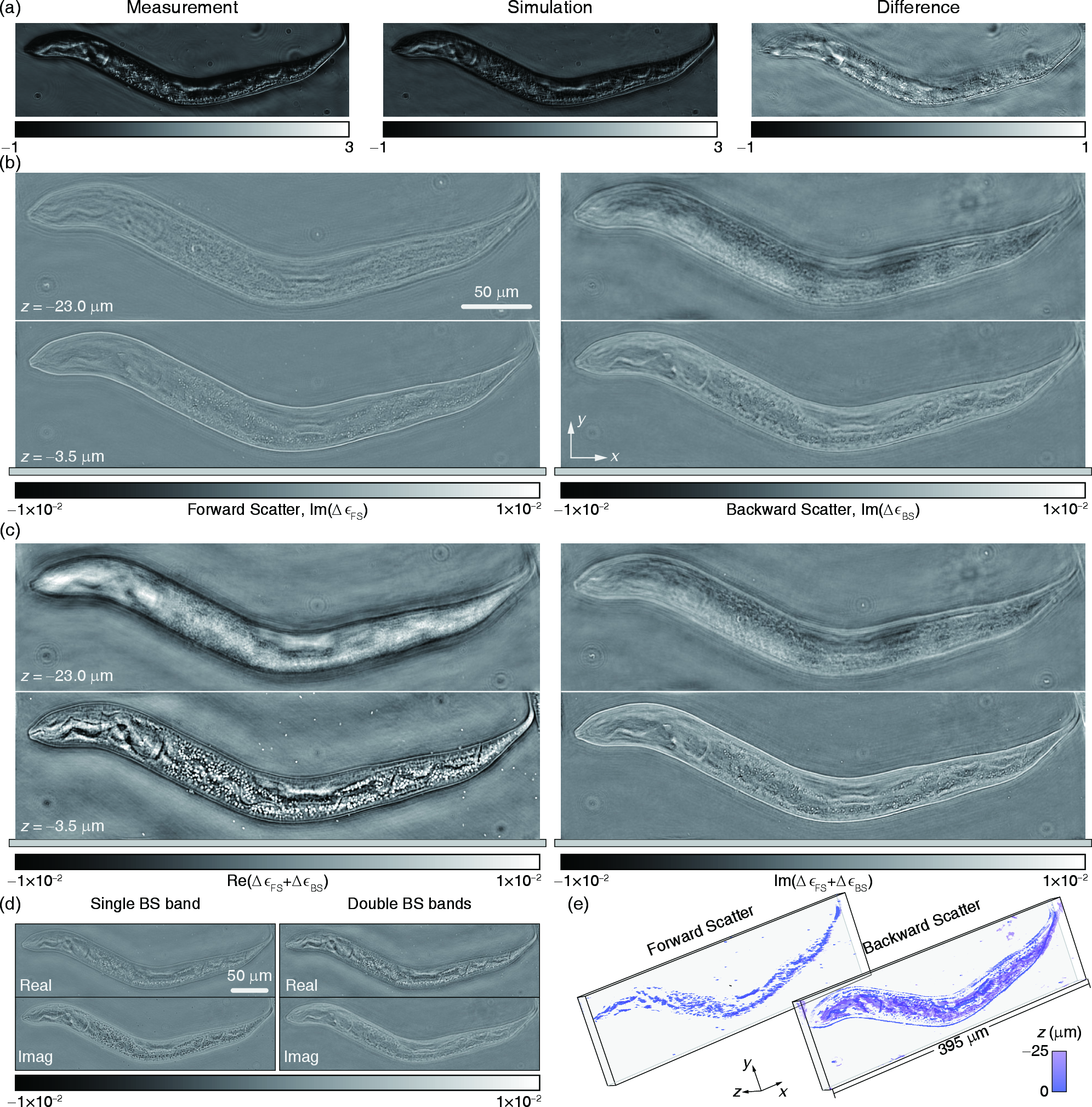 Figure 7: (a) Left, measured intensity pattern; middle, simulated pattern after reconstruction; right, their difference.(b) Imaginary part of x-y cross-sections of \Delta\epsilon_{\mathrm{FS}} and \Delta\epsilon_{\mathrm{BS}} at z=-23.0~\mum (surface) and z=-3.5~\mum (interior).(c) Real and imaginary part of x-y cross-sections of \Delta\epsilon_{\mathrm{FS}} + \Delta\epsilon_{\mathrm{BS}} at z=-23.0~\mum and z=-3.5~\mum.(d) x–y cross-sections at z = -3.5~\mum recovered from the top BS band and double BS bands.Phase and absorption are mixed in a single BS band but become decoupled when both BS bands are used, with phase and absorption corresponding to the real and imaginary parts, respectively.(e) 3D rendering of recovered FS and BS information.