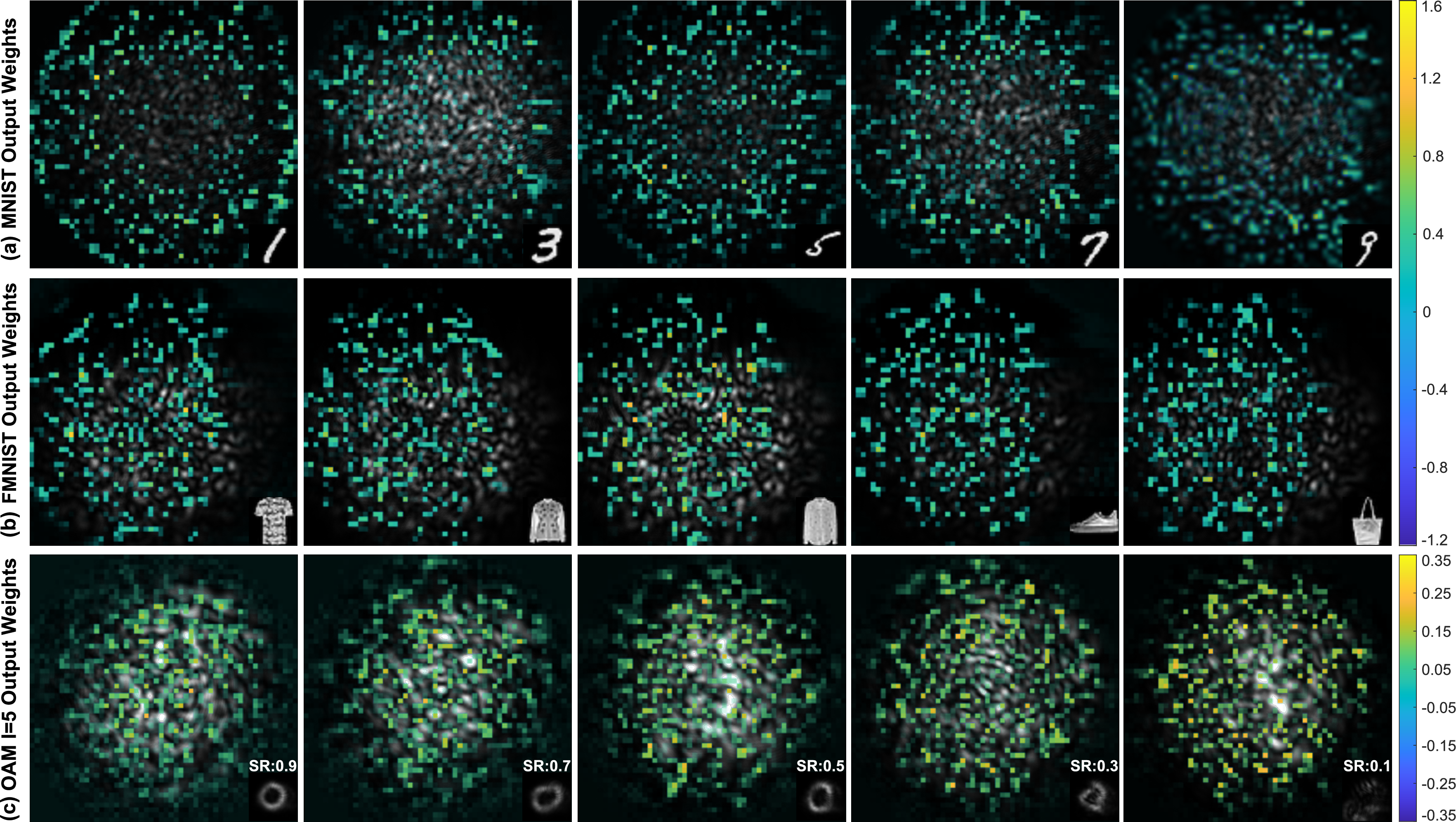 Figure 5: Task Dependent trained output weight distribution . The MNIST output weights (a) are focused around the perimeter of the speckle pattern in the search of edge based features. Both the FMNIST (b) and OAM (c) output weights are distributed throughout the speckle pattern, highlighting distinctive textural and phase features.