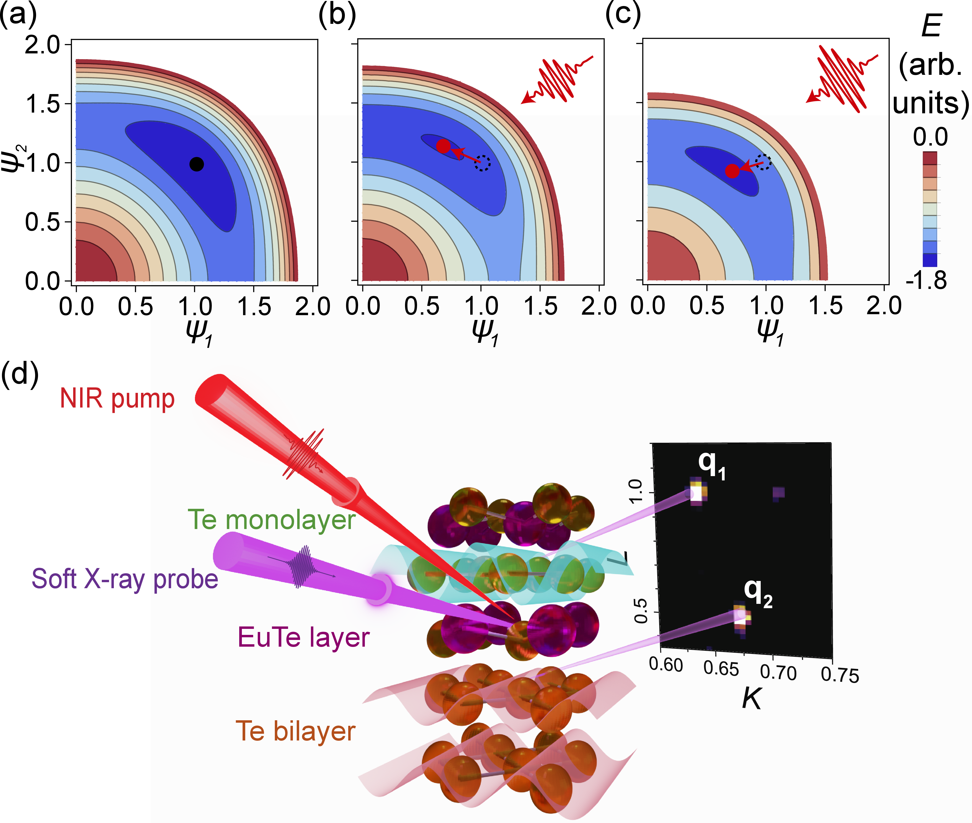 Figure 1: Phase competition and experimental setup. (a) Contour plots of equilibrium potential energy surfaces (PES) composed of two competing order parameters \psi_1 and \psi_2. The black circle marks the static global minimum. (b),(c) Contour plots of excited PES upon a moderate pump and an intense pump, respectively. The red circle marks the excited global minimum. (d) Schematic of the time-resolved X-ray diffraction (tr-XRD) setup with a near-infrared (NIR) pump centered at 800 nm. Eu and Te atoms are colored in purple and yellow, respectively. CDWs residing in the Te monolayers and bilayers are highlighted by blue and red waves, respectively, with their generated diffraction peaks labeled in the static reciprocal space mapping image of the (2 K L) plane.