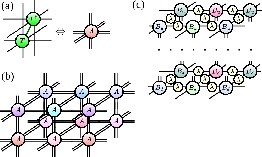 Figure 3: Three-dimensional double-layer tensor network representing the norm of the 3d iPEPS wave function: (a) From the onsite tensors T we can form the double-layer tensors A. Note that additional \lambda matrices on the bonds of 3d iPEPS are assumed to be already absorbed into iPEPS site tensors T; (b) 3d tensor network representing the norm of iPEPS wave function (different colors of A tensors show the different sites in the unit cell, which is chosen as 2 \times 2 \times 2); (c) the boundary iPEPS approximating the leading eigenvector of the matrix formed by the two horizontal layers of A tensors. We introduce the subscripts u and d in the boundary tensors B to distinguish between the boundary iPEPS representing the contraction of top and bottom parts of the tensor network, respectively.