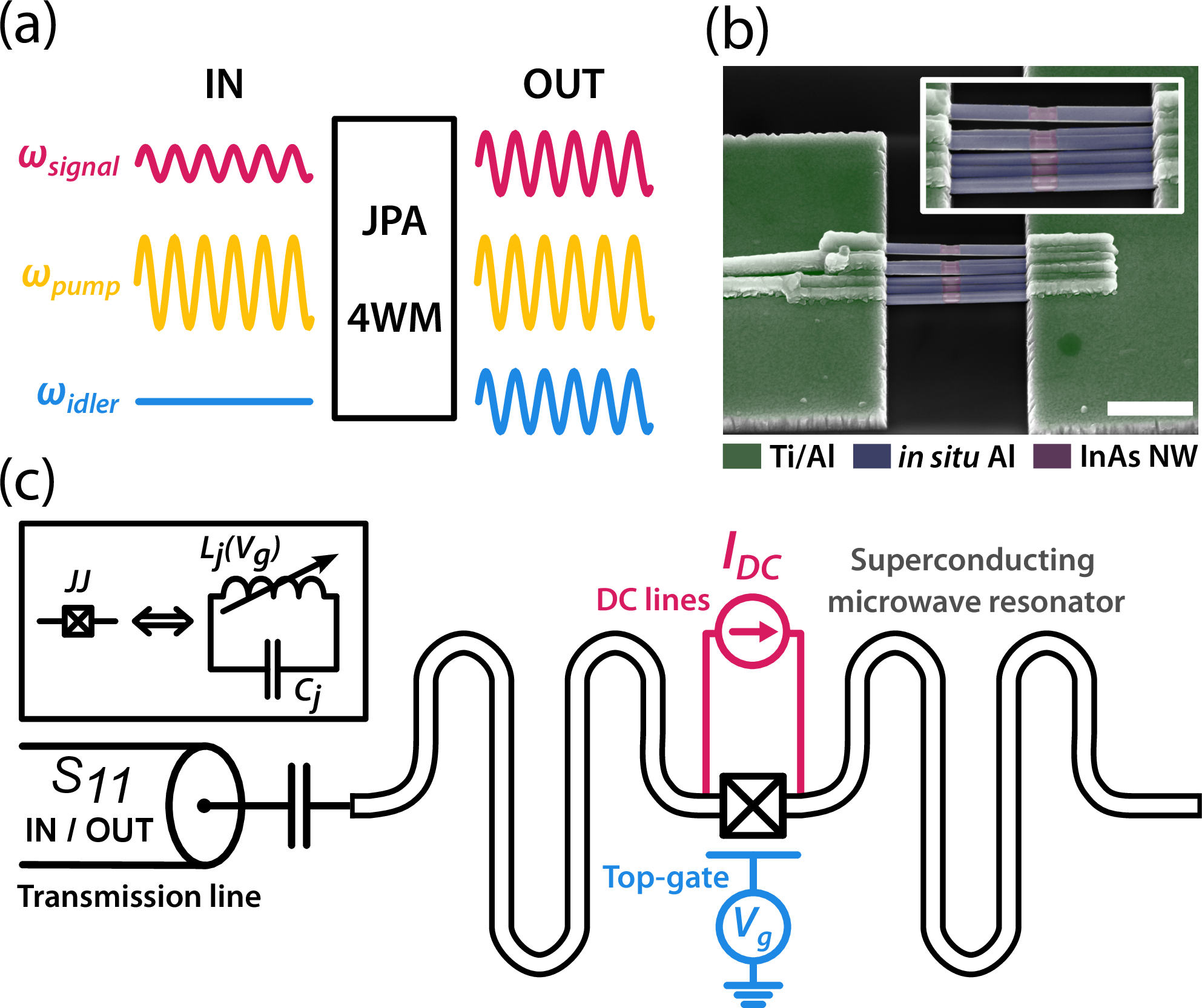 Figure 1: Elements of the nanowire-based parametric amplifier (a) Schematic of the working principle of a four-wave mixing Josephson parametric amplifier (b) False colored scanning electron micrograph of the parallel nanowire Josephson junction. Ti/Al electrodes are used to contact the nanowires on which Al has been deposited in situ after the nanowire growth. Part of the aluminum shell is chemically etched, yielding a parallel nanowire Josephson junction. Scale bar 2 \mum (c) Schematic of the JPA device with a junction embedded in an Al microwave resonator. I_{DC} denotes the dc current sent to junction through the dc lines. V_g denotes the gate voltage applied to the Josephson junction. Inset top-left: linear equivalent circuit of the semiconducting Josephson junction. The inductance of the junction is gate tunable.