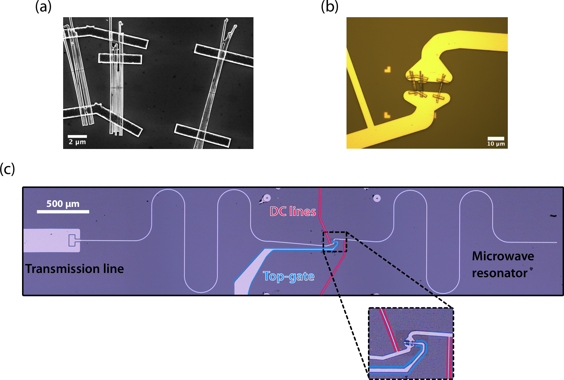 Figure 7: (a) SEM image of the three nanowires bundles that compose the weak link in device JPA09. Image taken after wet etching the Josephson junction, before electrical contacts. (b) Optical image after electrical contacts to the microstrip resonator. (c) Optical picture of finished device JPA09. Inset highlights the position of the nanowire Josephson junction.